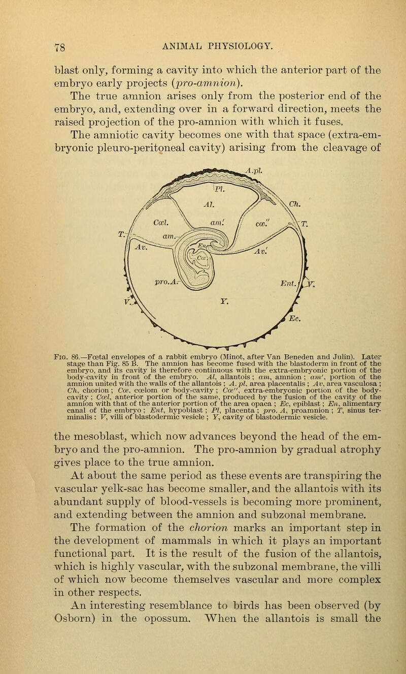 blast only, forming a cavity into which the anterior part of the embryo early projects (pro-amnion). The true amnion arises only from the posterior end of the embryo, and, extending over in a forward direction, meets the raised projection of the pro-amnion with which it fuses. The amniotic cavity becomes one with that space (extra-em- bryonic pleuro-peritoneal cavity) arising from the cleavage of A.pL Fig. 86.—Foetal envelopes of a rabbit embryo (Minot, after Van Beneden and Julin). Later stage than Fig. 85 B. The amnion has become fused with the blastoderm in front of the embryo, and its cavity is therefore continuous with the extra-embryonic portion of the body-cavity in front of the embryo. Al, allantois ; «m, amnion ; am', portion of the amnion united with the walls of the allantois ; A. pi, area placentalis ; Av, area vasculosa ; Ch, chorion ; Cce. coelom or body-cavity ; Cce, extra-embryonic portion of the body- cavity ; Coel, anterior portion of the same, produced by the fusion of the cavity of the amnion with that of the anterior portion of the area opaca ; Ec, epiblast; En, alimentary canal of the embryo ; Ent, hypoblast; PI, placenta ; pro. A, proamnion ; T, sinus ter- minalis ; V, villi of blastodermic vesicle ; Y, cavity of blastodermic vesicle. the mesoblast, which now advances beyond the head of the em- bryo and the pro-amnion. The pro-amnion by gradual atrophy gives place to the true amnion. At about the same period as these events are transpiring the vascular yelk-sac has become smaller, and the allantois with its abundant supply of blood-vessels is becoming more xjrominent, and extending between the amnion and subzonal membrane. The formation of the chorion marks an important step in the development of mammals in which it plays an important functional part. It is the result of the fusion of the allantois, which is highly vascular, with the subzonal membrane, the villi of which now become themselves vascular and more complex in other respects. An interesting resemblance to birds has been observed (by Osborn) in the opossum. When the allantois is small the