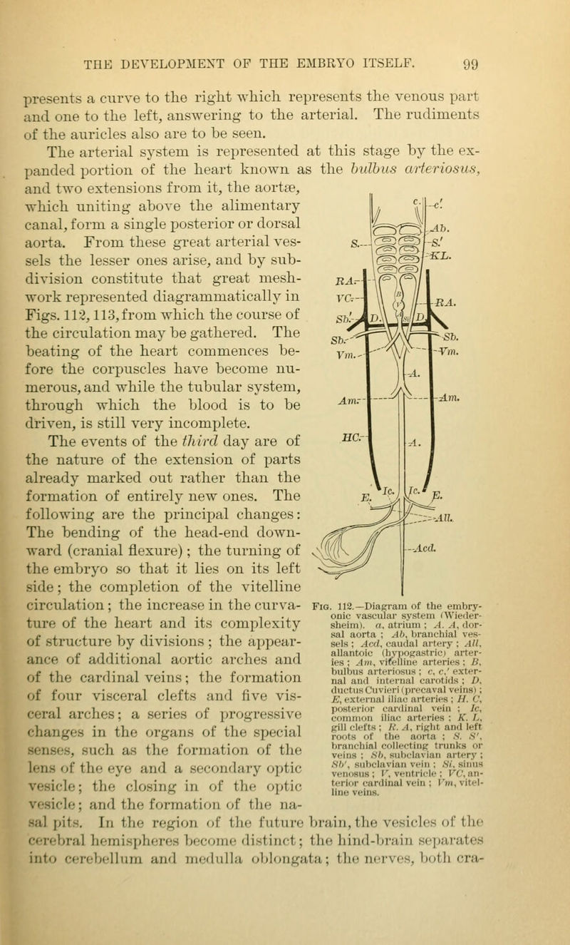 presents a curve to the right which represents the venous part and one to the left, answering to the arterial. The rudiments of the auricles also are to be seen. The arterial system is represented at this stage by the ex- panded portion of the heart known as the hulhus arteriosus, and two extensions from it, the aortse, which uniting above the alimentary canal, form a single posterior or dorsal aorta. From these great arterial ves- sels the lesser ones arise, and by sub- division constitute that great mesh- work represented diagrammatically in Figs. 112,113, from which the course of the circulation may be gathered. The beating of the heart commences be- fore the corpuscles have become nu- merous, and while the tubular system, through which the blood is to be driven, is still very incomplete. The events of the third day are of the nature of the extension of parts already marked out rather than the formation of entirely new ones. The following are the principal changes: The bending of the head-end down- ward (cranial flexure); the turning of the embryo so that it lies on its left side; the completion of the vitelline circulation; the increase in the curva- ture of the heart and its complexity of structure by divisions ; the appear- ance of additional aortic arches and of the cardinal veins; the formation of four visceral clefts and five vis- ceral arches; a series of progressive changes in the organs of the special senses, such as the formation of the lens of the eye and a secondary optic vesicle; the closing in of the optic vesicle; and the formation of the na- sal pits. In the region of the future brain, the vesicles of the cerebral hemispheres become distinct; the hind-brain sejjarates into cerebellum and medulla oblongata; the nerves, both cra- FiG. 112.—Diagram of the embry- onic vascular system (Wieder- sheim). a. atrium ; A. A, dor- sal aorta ; Ab, branchial ves- sels ; Arxl, caudal artery ; All, allantoic (hypogastric) arter- ies ; Am, vi6?lline arteries ; B. bulbus arteriosus ; c. c' exter- nal and internal carotids ; /), ductus Cuvieri (precaval veins); E, external iliac arteries ; H. C, posterior cardinal vein ; /c, common iliac arteries ; K. L, Kill clefts ; H.A, right and left roots of the aorta ; .S'. S', branchial collecting trunks or veins ; Sh, subclavian artery ; Sh', subclavian vein ; Si. sinus venosus ; V, ventricle ; VC, an- terior cardinal vein ; I'm, vitel- line veins.
