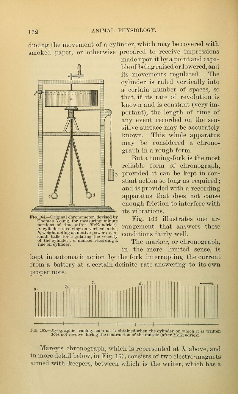 ducing the movement of a cylinder, which may be covered with smoked paper, or otherwise prepared to receive impressions made upon it by a point and capa- ble of being raised or lowered, and its movements regulated. The cylinder is ruled vertically into a certain number of spaces, so that, if its rate of revolution is known and is constant (very im- portant), the length of time of any event recorded on the sen- sitive surface may be accurately known. This whole apparatus may be considered a chrono- graph in a rough form. But a tuning-fork is the most reliable form of chronograph, provided it can be kept in con- stant action so long as required; and is provided with a recording apparatus that does not cause enough friction to interfere with its vibrations. Fig. 166 illustrates one ar- rangement that answers these conditions fairly well. The marker, or chronograph, in the more limited sense, is kept in automatic action by the fork interrupting the current from a battery at a certain definite rate answeiing to its own proper note. Fig. 164.—Original chronometer, devised by Thomas Young, for measuring minute portions of time (after McKendrick). a, cylinder revolving on vertical axis ; 6, weight acting as motive power ; c, d, small balls for regulating the velocity of the cylinder ; e, marker recording a line on cylinder. C. J, I. } b. Fig. 165.—Myographic tracing, such as is obtained when the cylinder on which it is written does not revolve during the contraction of the muscle (after McKendrick). Marey's chronograph, which is represented at h above, and in more detail below, in Fig. 167, consists of two electro-magnets armed with keepers, between which is the writer, which has a