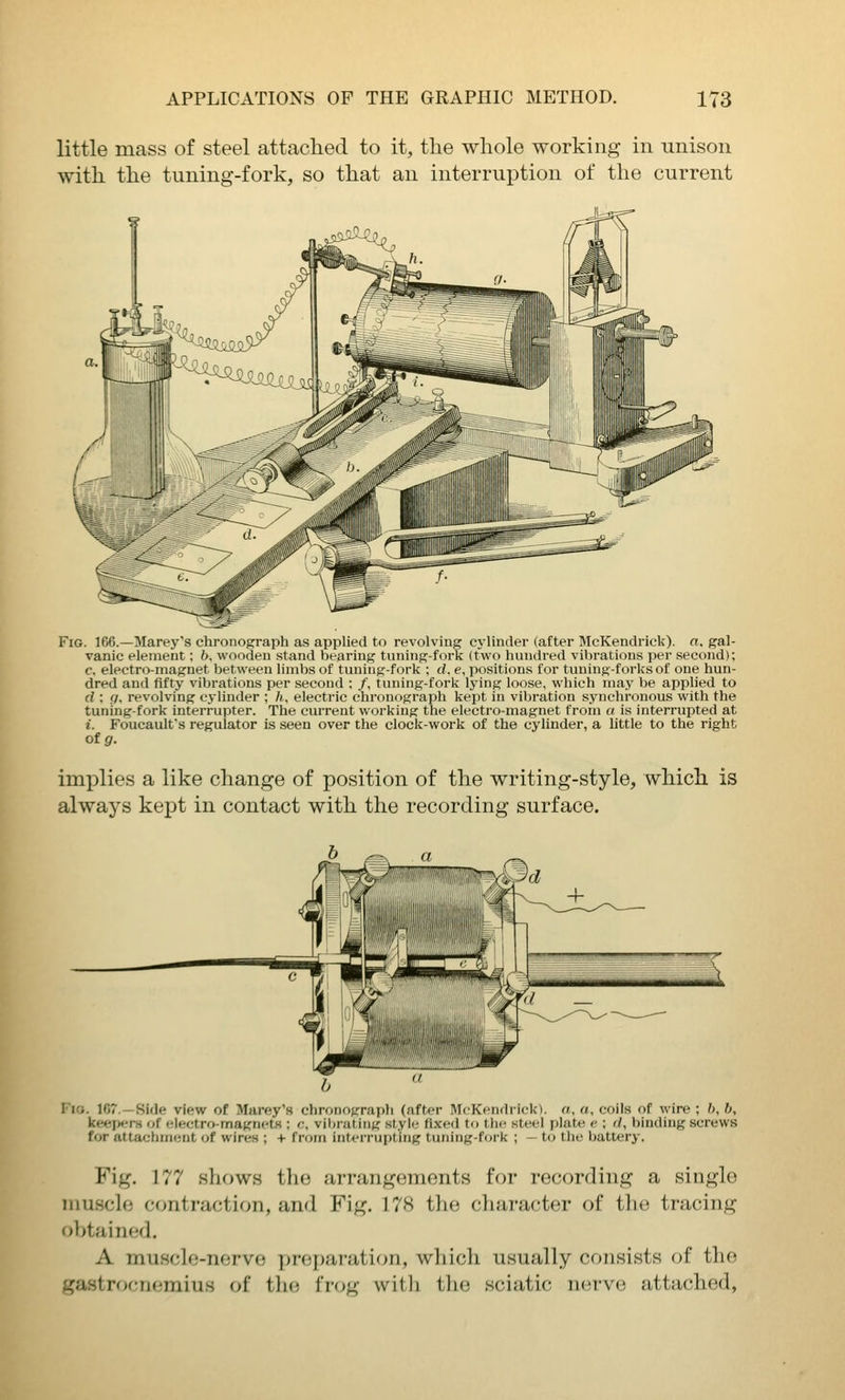 little mass of steel attached to it, the whole working in unison with the tuning-fork, so that an interruption of the current Fig. 166.—Marey's chronograph as applied to revolving cj'linder (after McKendrick). a. gal- vanic element; 6, wooden stand bearing tuning-fork (tVo hundred vibrations per second); c. electro-magnet between limbs of tuning-fork ; d. e, positions for tuning-forks of one hun- dred and fifty vibrations per second ; /, tuning-fork lying loose, which may be applied to d : f/. revolving cylinder ; h, electric chronograph kept in vibration synchronous with the tuning-fork interrupter. The current working the electro-magnet from a is interrupted at i. Foucault's regulator is seen over the clock-work of the cylinder, a little to the right of g. implies a like change of position of the writing-style, which is always kept in contact with the recording surface. Fio. 167.—Side view of Marey's chronograph (after McKendrick). a, a, coils of wire ; ft, b, keepers of electro-magnets : c. vibrating style fixed to the steel plate e ; rl, binding screws for attachment of wires ; + from interrupting tuning-fork ; - to tlie battery. Fig. 177 shows the arrangements for recording a single niuschi contraction, and Fig. 178 the cliaracter of the tracing ol^tained. A musclo-nervo preparation, which usually consists of the gastrocnemius of tlie frog witli the sciatic nerve attached,