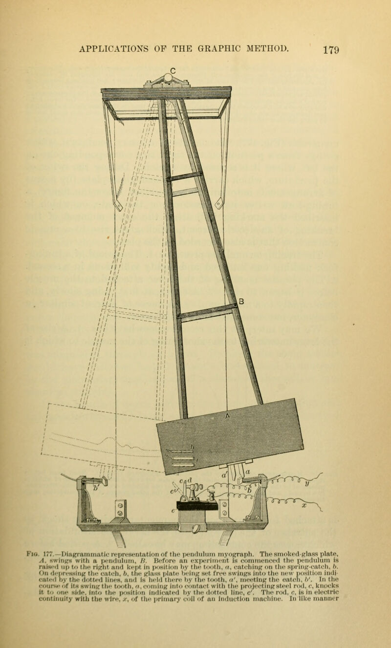 (2 Fio. 177.—Diajframmatie representation of the pendtilum myoj^raph. The smoked-plass plate, A. Kwin«H with a pendulum, li. Before an experiment is commeneed the pendulum is rainefl up to the rif^ht and kept in position l)y tlie tooth, tt, eati-hinR on tlie spring eat eh, /). On denresMinK tlie cateh, h, the ((lass plate lieinK set free swiiiffs into the new iHisiliun indi- caletl hy the dott»-d lines, and Is held tliere \>y the tooth, ii\ meeting the ealeli, /<'. In the eourw-of its swintc the tf)oth, «.eomin« into eontaet with I lie project iri(j steel rod, c, knocks it to one side. irit/» the pr>sition indicated l)y the dotted line, c'. The rod. c, is in electric continuity with the wire, .c. of the primary cidl of an inductlou machine. In like manner
