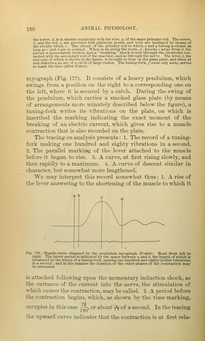 ISO the screw, d, is in electric continuity with the wire, y, of the same primarr coil. The screw, d. and the rod, c. are provided with platinum points, and both are insulated by means of the ebonite block, <?. The cirouit of the primary coU to which x and y belong is closed as long- as c and d are in contact. When in its swing the tooth, a', knocks c away from rf, the circuit is immediately broken, and a breaking shock is sent through the electrodes con- nected with the secondary coil of the machine, and so through the nerve. The lever, 1, the end only of which is shown in the figiu-e. is brought to bear on the glass plate, and when at rest describes an arc of a circle of large radius. The tuning-fork, / (.ends only seen), serves to mark the time (.after Foster). myograpli (Fig. 177). It consists of a heavy pendulum, wliich swings from a position on tlie right to a corresponding one on the left, where it is secured by a catch. During the swing of the pendulum, which carries a smoked glass plate (by means of arrangements more minutely described below the figure), a tuning-fork writes its vibrations on the plate, on which is inscribed the marking indicating the exact moment of the breaking of an electric current, which gives rise to a muscle contraction that is also recorded on the plate. The tracing on analysis presents: 1. The record of a tuning- fork making one hundred and eighty ^dbrations in a second. 3. The parallel markiihg of the lever attached to the muscle before it began to rise. 3. A curve, at first rising slowly, and then rapidly to a maximum. 4. A curve of descent similar in character, but somewhat more lengthened. We may interpret this record somewhat thus: 1. A rise of the lever answering to the shortening of the muscle to which it Fig. 178.—Moscle-curve obtained by the pendulum myograph (Foster). Read from left to right. The latent period is indicated by the space between o and 6, the length of which is measured by the waves of a tuning-fork, making one hundred and eighty double vibrations in a second : and in Uke manner the duration of the other phases of the contraction may be estimated.. is attached following upon the momentary induction shock, as the entrance of the current into the nerve, the stimulation of which causes the contraction, may be called. 2. A period before the contraction begins, which, as shown by the time marking, occupies in this case -~, or about -^ of a second. In the tracing the upward curve indicates that the contraction is at first rela-