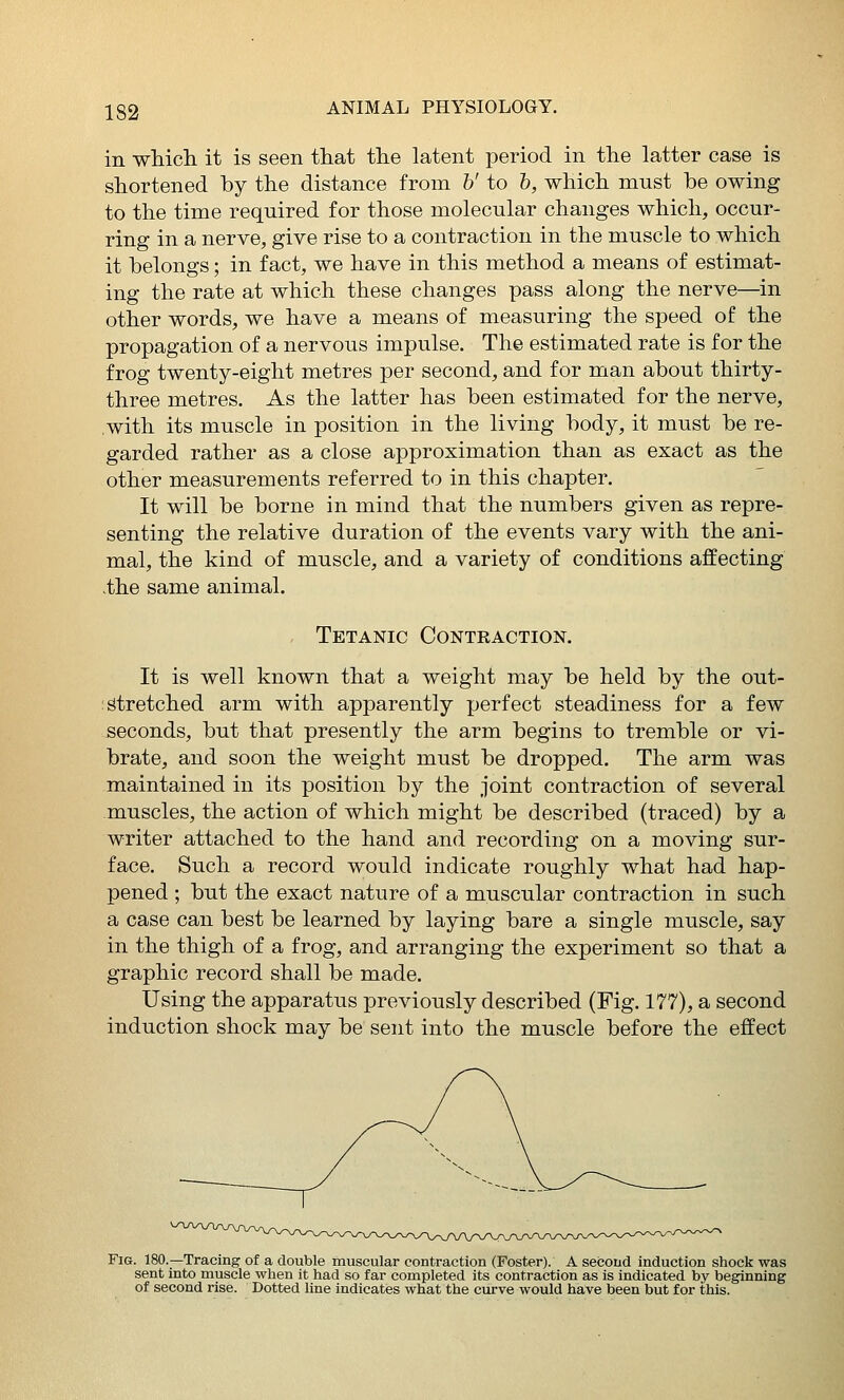 in wliich it is seen that the latent period in the latter case is shortened by the distance from h' to h, which mnst be owing to the time required for those molecular changes which, occur- ring in a nerve, give rise to a contraction in the muscle to which it belongs; in fact, we have in this method a means of estimat- ing the rate at which these changes pass along the nerve—in other words, we have a means of measuring the speed of the propagation of a nervous impulse. The estimated rate is for the frog twenty-eight metres per second, and for man about thirty- three metres. As the latter has been estimated for the nerve, with its muscle in position in the living body, it must be re- garded rather as a close approximation than as exact as the other measurements referred to in this chapter. It will be borne in mind that the numbers given as repre- senting the relative duration of the events vary with the ani- mal, the kind of muscle, and a variety of conditions affecting >the same animal. , Tetanic Contraction. It is well known that a weight may be held by the out- : Stretched arm with apparently XJerfect steadiness for a few seconds, but that presently the arm begins to tremble or vi- brate, and soon the weight must be dropped. The arm was maintained in its position by the joint contraction of several muscles, the action of which might be described (traced) by a writer attached to the hand and recording on a moving sur- face. Such a record would indicate roughly what had hap- pened ; but the exact nature of a muscular contraction in such a case can best be learned by laying bare a single muscle, say in the thigh of a frog, and arranging the experiment so that a graphic record shall be made. Using the apparatus previously described (Fig. 177), a second induction shock may be sent into the muscle before the effect Fig. 180.—Tracing of a double muscular contraction (Foster). A second induction shock was sent into muscle when it had so far completed its contraction as is indicated by beginning of second rise. Dotted line indicates what the curve would have been but for this.