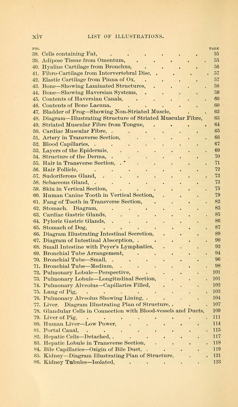 38. Cells containing Fat, ...... 39. Adipose Tissue from Omentum, .... 40. Hyaline Cartilage from Bronchus, .... 41. Fibro-Cartilage from Intervertebral Disc, . 42. Elastic Cartilage from Pinna of Ox, .... 43. Bone—Showing Laminated Structures, 44. Bone—Showing Haversian Systems, .... 45. Contents of Haversian Canals, .... 46. Contents of Bone Lacuna, ..... 47. Bladder of Frog—Showing Non-Striated Muscle, 48. Diagram—Illustrating Structure of Striated Muscular Fibre, 49. Striated Muscular Fibre from Tongue, 50. Cardiac Muscular Fibre, ...... 51. Artery in Transverse Section, 52. Blood Capillaries, . 53. Layers of the Epidermis, 54. Structure of the Derma, . 55. Hair in Transverse Section, . * •56. Hair Follicle, •57. Sudoriferous Gland, 58. Sebaceous Gland, . ■59. Skin in Vertical Section, 60. Human Canine Tooth in Vertical Section, 61. Fang of Tooth in Transverse Section, 62. Stomach. Diagram, ...... 63. Cardiac Gastric Glands, ..... 64. Pyloric Gastric Glands, ...... 65. Stomach of Dog, ...... 66. Diagram Illustrating Intestinal Secretion, 67. Diagram of Intestinal Absorption, .... 68. Small Intestine with Peyer's Lymphatics, 69. Bronchial Tube Arrangement, .... 70. Bronchial Tube—Small, ...... 71. Bronchial Tube—Medium, ..... 72. Pulmonary Lobule—Perspective, 73. Pulmonary Lobule—Longitudinal Section, 74. Pulmonary Alveolus—Capillaries Filled, 75. Lung of Pig, ....... 76. Pulmonary Alveolus Showing Lining, .... 77. Liver. Diagram Illustrating Plan of Structure, . 78. Glandular Cells in Connection with Blood-vessels and Ducts, 79. Liver of Pig, ....... 80. Human Liver—Low Power, ..... 81. Portal Canal, ....... 82. Hepatic Cells—Detached, ...... 83. Hepatic Lobule in Transverse Section, 84. Bile Capillaries—Origin of Bile Duct, .... 85. Kidney—Diagram Illustrating Plan of Structure, 86. Kidney Tubules—Isolated,