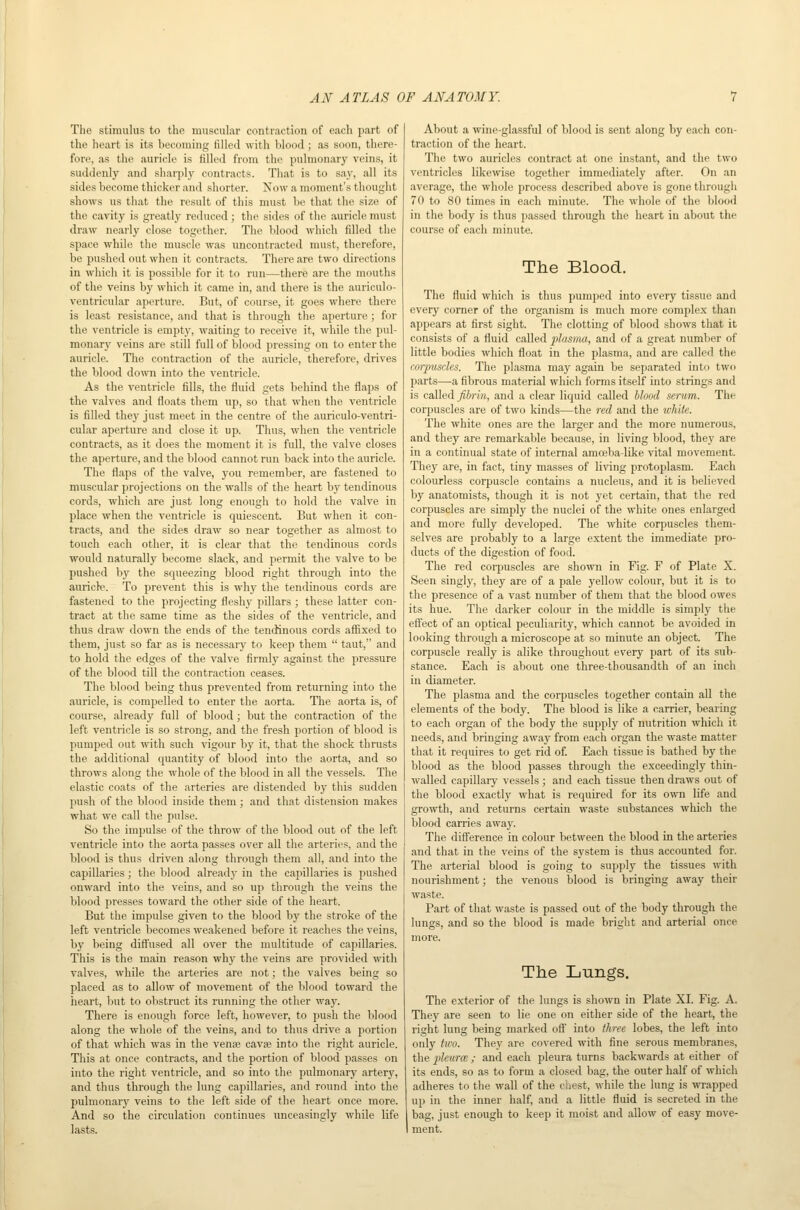 The stimulus to the nuiscul.ir contraction of each part of the heart is its becoming filled with blood ; as soon, there- fore, as the auricle is filled from the pulmonary veins, it suddenly and sharply contracts. That is to say, all its sides become thicker and shorter. Now a moment's thought shows us that the result of this must be that the size of the cavity is greatly reduced ; the sides of the auricle must draw nearly close together. The blood which filled the space while the muscle was uncontracted must, therefore, be pushed out when it contracts. There are two directions in which it is possible for it to run—there are the mouths of the veins by which it came in, and there is the auriculo- ventricular aperture. But, of course, it goes where there is least resistance, and that is through the aperture; for the ventricle is empty, waiting to receive it, while the pul- monary veins are still full of blood pressing on to enter the auricle. The contraction of the auricle, therefore, drives the blood do^vn into the ventricle. As the ventricle fills, the fluid gets behind the flaps of the valves and floats them up, so that when the ventricle is filled they just meet in the centre of the auriculo-ventri- cular aperture and close it up. Thus, when the ventricle contracts, as it does the moment it is full, the valve closes the aperture, and the blood cannot run back into the auricle. The flaps of the valve, you remember, are fastened to muscular projections on the walls of the heart by tendinous cords, which are just long enough to hold the valve in place when the ventricle is quiescent. But when it con- tracts, and the sides draw so near together as almost to touch each other, it is clear that the tendinous cords would naturally become slack, and permit the valve to be pushed by the squeezing blood right through into the auricfe. To prevent this is why the tendinous cords are fastened to the projecting fleshy pillars ; these latter con- tract at the same time as the sides of the ventricle, and thus draw down the ends of the tendinous cords affixed to them, just so far as is necessary to keep them  taut, and to hold the edges of the valve firmly against the pressure of the blood till the contraction ceases. The blood being thus prevented from returning into the auricle, is compelled to enter the aorta. The aorta is, of course, already full of blood; but the contraction of the left ventricle is so strong, and the fresh portion of blood is pumped out with such vigour bj' it, that the shock thrusts the additional quantity of blood into the aorta, and so throws along the whole of the blood in all the vessels. The elastic coats of the arteries are distended by this sudden push of the blood inside them ; and that distension makes what we call the pulse. So the impulse of the throw of the blood out of the left ventricle into the aorta passes over all the arterie.';, and the blood is thus driven along through them all, and into the capillaries; the blood already in the capillaries is pushed onward into the veins, and so up through the veins the blood presses toward the other side of the heart. But the impulse given to the blood by the stroke of the left ventricle becomes weakened before it reaches the veins, by being diffused all over the multitude of capillaries. This is the main reason why the veins are provided with valves, while the arteries are not; the valves being so placed as to allow of movement of the blood toward the heart, but to obstruct its running the other way. There is enough force left, however, to push the blood along the whole of the veins, and to thus drive a portion of that which was in the venje cavse into the right auricle. This at once contracts, and the portion of blood passes on into the right ventricle, and so into the pulmonary artery, and thus through the lung capillaries, and round into the pulmonary veins to the left side of the heart once more. And so the circulation continues unceasingly while life lasts. About a wine-glassful of blood is sent along by each con- traction of the heart. The two auricles contract at one instant, and the two ventricles likewise together immediately after. On an average, the whole process described above is gone through 70 to 80 times in each minute. The whole of the blood in the body is thus passed through the heart in about the course of each minute. The Blood. The fluid which is thus pumped into every tissue and every corner of the organism is much more complex than appears at first sight. The clotting of blood shows that it consists of a fluid called jilasnui, and of a great number of little bodies which float in the plasma, and are called the corpuscles. The plasma may again be separated into twr) parts—a fibrous material which forms itself into strings an<l is c&WeAfih-'m, and a clear liquid called blood serum. The corpuscles are of two kinds—the red and the white. The white ones are the larger and the more numerous, and they are remarkable because, in living blood, they are in a continual state of internal amceba-lLke vital movement. They are, in fact, tiny masses of living protoplasm. Each colourless corpuscle contains a nucleus, and it is believed by anatomists, though it is not yet certain, that the red corpuscles are simply the nuclei of the white ones enlarged and more fully developed. The white corpuscles them- selves are probably to a large extent the immediate pro- ducts of the digestion of food. The red corpuscles are shown in Fig. F of Plate X. Seen singly, they are of a pale yellow colour, but it is to the presence of a vast number of them that the blood owes its hue. The darker colour in the middle is simply the effect of an optical peculiarity, which cannot be avoided in looking through a microscope at so minute an object. The corpuscle really is alike throughout every part of its sub- stance. Each is about one three-thousandth of an inch in diameter. The plasma and the corpuscles together contain all the elements of the body. The blood is like a carrier, bearing to each organ of the body the supply of nutrition which it needs, and bringing away from each organ the waste matter that it requires to get rid of. Each tissue is bathed by the blood as the blood passes through the exceedingly thin- walled capillary vessels ; and each tissue then draws out of the blood exactly what is required for its own life and growth, and returns certain waste substances wliich the blood carries away. The difference in colour between the blood in the arteries and that in the veins of the system is thus accounted for. The arterial blood is going to supply the tissues with nourishment; the venous blood is bringing away their waste. Part of that waste is passed out of the body through the lungs, and so the blood is made bright and arterial once The Lungs. The exterior of the lungs is shown in Plate XI. Fig. A. They are seen to lie one on either side of the heart, the right lung being marked off' into three lobes, the left mto only two. They are covered with fine serous membranes, the pleurce ; and each pleura turns backwards at either of its ends, so as to form a closed bag, the outer half of which adheres to the wall of the ciicst, while the lung is wrapped up in the inner half, and a little fluid is secreted in the bag, just enough to keep it moist and allow of easy move- ment.