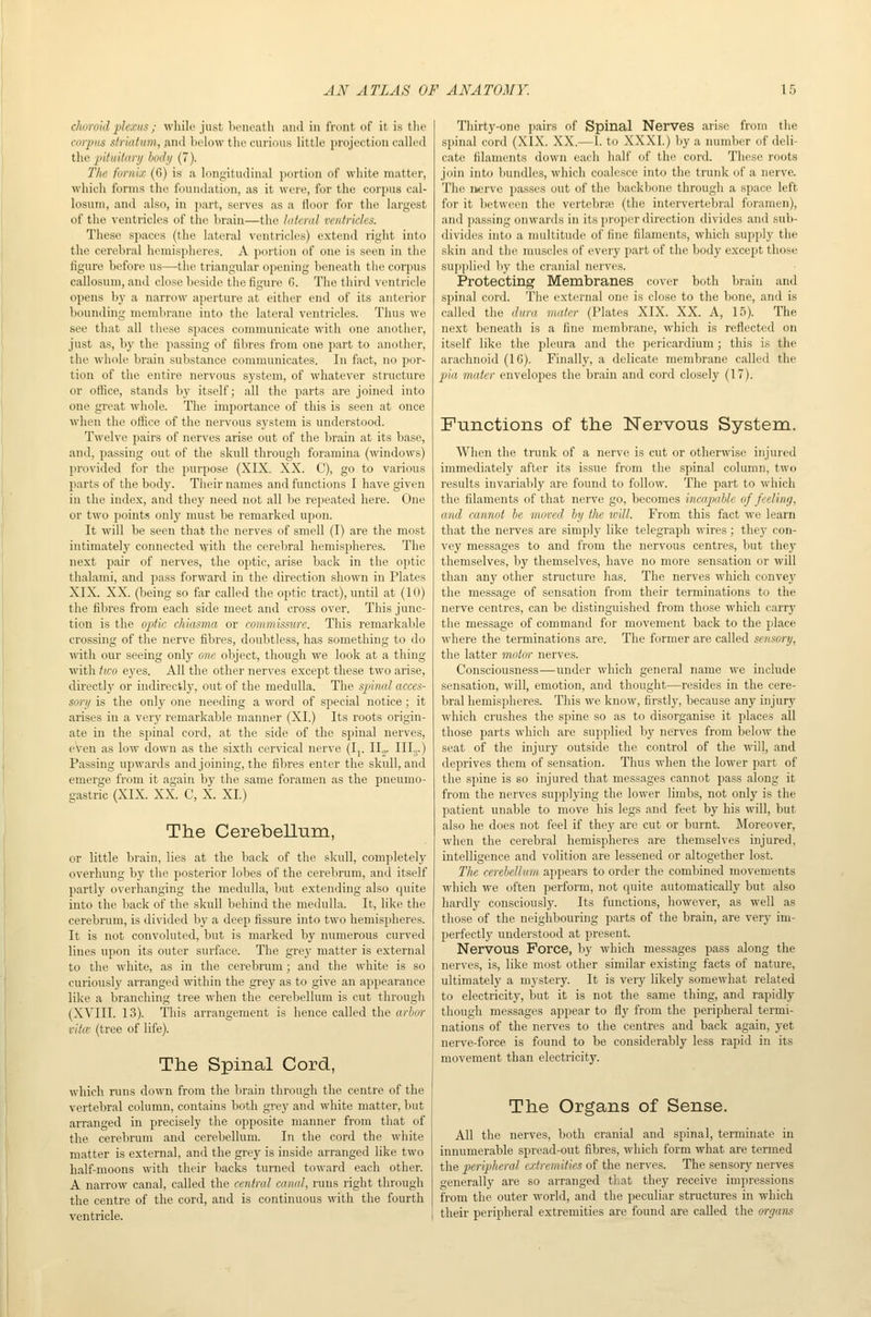 choroid plexus ; while just beneath and in front of it is the corpus striatum, And below the curious little projection called the pituitary body (7). The fornix (6) is a longitudinal portion of white matter, which forms the foundation, as it were, for the corpus cal- losuni, and also, in part, serves as a floor for the largest of the ventricles of the brain—the lateral ventricles. These spaces (the lateral ventricles) extend right into the cerebral hcmispheies. A portion of one is seen in the figure before us—the triangular opening beneath the corpus callosum, and close beside the figure 6. The third ventricle opens by a narrow aperture at either end of its anterior bounding membrane into the lateral ventricles. Thus we see that all these spaces communicate with one another, just as, by the passing of fibres from one part to another, the whole brain substance communicates. In fact, no por- tion of the entire nervous system, of whatever structure or office, stands by itself; all the parts are joined into one great whole. The importance of this is seen at once when the office of the nervous system is understood. Twelve pairs of nerves arise out of the brain at its base, and, passing out of the skull through foramina (windows) provided for the purpose (XIX. XX. C), go to various parts of the body. Their names and functions I have given in the index, and they need not all be repeated here. One or two points only must be remarked upon. It will be seen that the nerves of smell (I) are the most intimately connected with the cerebral hemispheres. The next pair of nerves, the ojitic, arise back in the optic thalami, and pass forward in the direction shown in Plates XIX. XX. (being so far called the optic tract), until at (10) tlie fibres from each side meet and cross over. This junc- tion is the ojjtic chiasma or commissure. This remarkable crossing of the nerve fibres, doubtless, has something to do with our seeing only one object, though we look at a thing with two eyes. All the other nerves except these two arise, dii'ectly or indirectly, out of the medulla. The spinal acces- sory is the only one needing a word of special notice; it arises in a very remarkable manner (XI.) Its roots origin- ate in the spinal cord, at the side of the spinal nerves, even as low down as the sixth cervical nerve (Ij. II,. Illg.) Passing upwards and joining, the fibres enter the skull, and emerge from it again by the same foramen as the pneumo- gastric (XIX. XX. C, X. XL) The Cerebellum, or little brain, lies at the liack of the skull, completely overhung by the posterior lobes of the cerebrum, and itself partly overhanging the medulla, but extending also quite into the back of the skull behind the medulla. It, like the cerebrum, is divided by a deep fissure into two hemispheres. It is not convoluted, but is marked by numerous curved lines upon its outer surface. The grey matter is external to the white, as in the cerebrum; and the white is so curiously arranged within the grey as to give an appearance like a branching tree when the cerebellum is cut through (XVIII. 13). This arrangement is hence called the arhor vitic (tree of life). The Spinal Cord, which runs down from the brain through the centre of the vertebral column, contains both grey and white matter, but arranged in precisely the opposite manner from that of the cerebrum and cerebellum. In the cord the white matter is external, and the grey is inside arranged like two half-moons with their backs turned toward each other. A narrow canal, called the central caned, runs right through the centre of the cord, and is continuous with the fourth ventricle. Thirty-one pairs of Spinal Nerves arise from the spinal cord (XIX. XX.—1. to XXXI.) by a number of deli- cate filaments down each half of the cord. These roots join into bundles, which coalesce into the trunk of a nerve. The nerve passes out of the backbone through a space left for it between the vertebra; (the intervertebral foramen), and passing onwards in its proper direction divides and sub- divides into a multitude of fine filaments, which supply the skin and the muscles of every part of the body except those supplied liy the cranial nervfs. Protecting Membranes cover both brain and spinal cord. The external one is close to the bone, and is called the dura mater (Plates XIX. XX. A, 15). The next beneath is a fine membrane, which is reflected on itself like the pleura and the pericardium; this is the arachnoid (16). Finally, a delicate membrane called the pia mater envelopes the brain and cord closely (17). Functions of the Nervous System. When the trunk of a nerve is cut or otherwise injured immediately after its issue from the spinal column, two results invariably are found to follow. The part to which the filaments of that nerve go, becomes incapable of feeling, and cannot be moved by the will. From this fact we learn that the nerves are simply like telegraph wires; they con- vey messages to and from the nervous centres, but they themselves, by themselves, have no more sensation or will than any other structure has. The nerves which convej' the message of sensation from their terminations to the nerve centres, can be distinguished from those which carrj' the message of command for movement back to the place where the terminations are. The former are called sensory, the latter moim- nerves. Consciousness—under which general name we include sensation, will, emotion, and thought—resides in the cere- bral hemispheres. This we know, firstly, because any injury which crushes the spine so as to disorganise it places all those parts which are supplied by nerves from below the seat of the injury outside the control of the will, and deprives them of sensation. Thus when the lower part of the spine is so injured that messages cannot pass along it from the nerves supplying the lower limbs, not only is the patient unable to move his legs and feet by his will, but also he does not feel if they are cut or burnt. Moreover, when the cerebral hemispheres are themselves injured, intelligence and volition are lessened or altogether lost. The cerebeJhim appears to order the combined movements which we often perform, not quite automatically but also hardly consciously. Its functions, however, as well as those of the neighbouring parts of the brain, are very im- perfectly understood at present. Nervous Force, by which messages i^ass along the nerves, is, like most other similar existing facts of nature, ultimately a mystery. It is very likely somewhat related to electricity, but it is not the same thing, and rapidly though messages appear to fly from the peripheral termi- nations of the nerves to the centres and back again, yet nerve-force is found to be considerably less rapid in its movement than electricity. The Organs of Sense. All the nerves, both cranial and spinal, terminate in innumerable spread-out fibres, which form what are termed the peripheral extremities of the nerves. The sensory nerves generally are so arranged that they receive impressions from the outer world, and the peculiar structures in which their peripheral extremities are found are called the organs