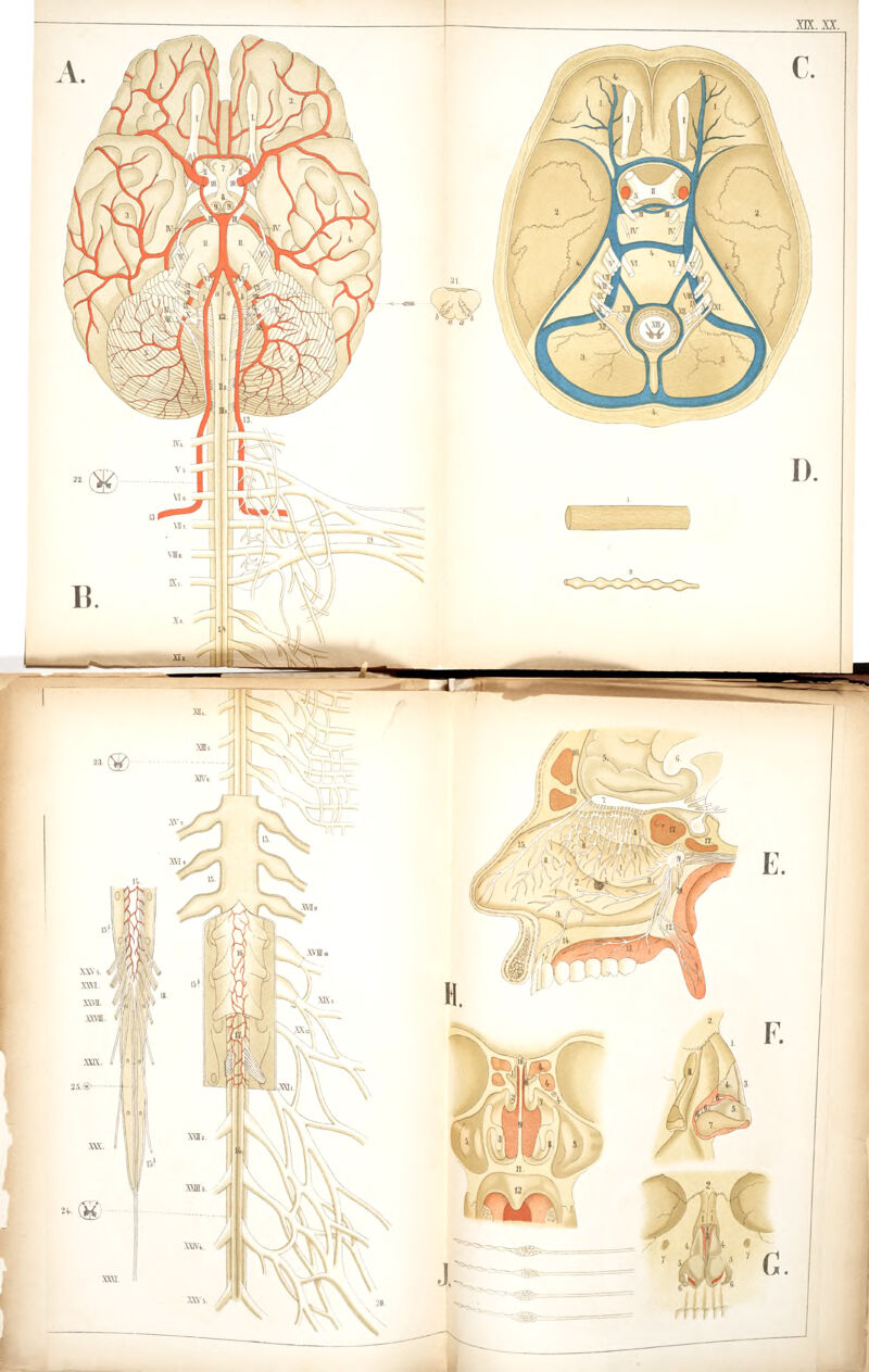 niti>»K^ '^^<:;^ I. tiy ... ('. ^-^ i--^^ 'f #/# Nl r^. ^^' Kf^ G. Am