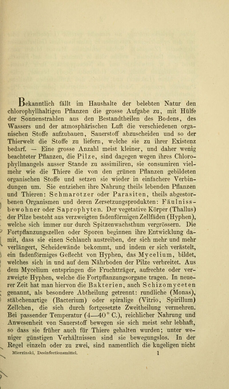L)ekanntlich fällt im Haushalte der belebten Natur den chlorophyllhaltigen Pflanzen die grosse Aufgabe zu, mit Hülfe der Sonnenstrahlen aus den Bestandteilen des Bodens, des Wassers und der atmosphärischen Luft die verschiedenen orga- nischen Stoffe aufzubauen, Sauerstoff abzuscheiden und so der Thierwelt die Stoffe zu liefern, welche sie zu ihrer Existenz bedarf. — Eine grosse Anzahl meist kleiner, und daher wenig beachteter Pflanzen, die Pilze, sind dagegen wegen ihres Chloro- phyllmangels ausser Stande zu assimiliren, sie consumiren viel- mehr wie die Thiere die von den grünen Pflanzen gebildeten organischen Stoffe und setzen sie wieder in einfachere Verbin- dungen um. Sie entziehen ihre Nahrung theils lebenden Pflanzen und Thieren: Schmarotzer oder Parasiten, theils abgestor- i benen Organismen und deren Zersetzungsprodukten: Fäulniss- bewohner oder Saprophyten. Der vegetative Körper (Thallus) der Pilze besteht aus verzweigten fadenförmigen Zellfäden (Hyphen), welche sich immer nur durch Spitzenwachsthum vergrössern. Die ' Fortpflanzungszellen oder Sporen beginnen ihre Entwicklung da- mit, dass sie einen Schlauch austreiben, der sich mehr und mehr ' verlängert, Scheidewände bekommt, und indem er sich verästelt, \ ein fadenförmiges Geflecht von Hyphen, das Mycelium, bildet, welches sich in und auf dem Nährboden der Pilze verbreitet. Aus dem Mycelium entspringen die Fruchtträger, aufrechte oder ver- zweigte Hyphen, welche die Fortpflanzungsorgane tragen. In neue- rer Zeit hat man hiervon die Bakterien, auch Schizomyceten l genannt, als besondere Abtheilung getrennt: rundliche (Monas), stäbchenartige (Bacterium) oder spiralige (Vitrio, Spirillum) Zellchen, die sich durch fortgesetzte Zweitheilung vermehren. Bei passender Temperatur (4—40 ° C), reichlicher Nahrung und Anwesenheit von Sauerstoff bewegen sie sich meist sehr lebhaft, so dass sie früher auch für Thiere gehalten wurden; unter we- niger günstigen Verhältnissen sind sie bewegungslos. In der v Regel einzeln oder zu zwei, sind namentlich die kugeligen nicht Mierzinski, Desinfectionsmittel. 1 N
