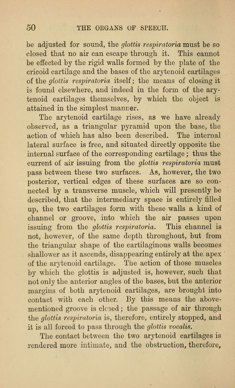 be adjusted for sound, the glottis respiratoria must be so closed that no air can escape through it. This cannot be effected by the rigid walls formed by the plate of the cricoid cartilage and the bases of the arytenoid cartilages of the glottis respiratoria itself; the means of closing it is found elsewhere, and indeed in the form of the ary- tenoid cartilages themselves, by which the object is attained in the simplest manner. The arytenoid cartilage rises, as we have already observed, as a triangular pyramid upon the base, the action of which has also been described. The internal lateral surface is free, and situated directly opposite the internal surface of the corresponding cartilage ; thus the current of air issuing from the glottis respiratoria must pass between these two surfaces. As, however, the two posterior, vertical edges of these surfaces are so con- nected by a transverse muscle, which will presently be described, that the intermediary space is entirely filled up, the two cartilages form with these walls a kind of channel or groove, into which the air passes upon issuing from the glottis respiratoria. This channel is not, however, of the same depth throughout, but from the triangular shape of the cartilaginous walls becomes shallower as it ascends, disappearing entirely at the apex of the arytenoid cartilage. The action of those muscles by which the glottis is adjusted is, however, such that not only the anterior angles of the bases, but the anterior margins of both arytenoid cartilages, are brought into contact with each other. By this means the above- mentioned groove is closed; the passage of air through the glottis respiratoria is, therefore, entirely stopped, and it is all forced to pass through the glottis vocalis. The contact between the two arytenoid cartilages is rendered more intimate, and the obstruction, therefore,