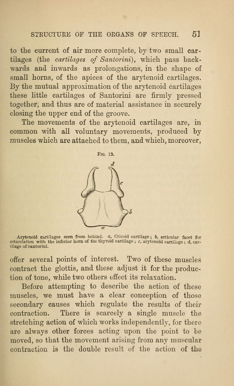 to the current of air more complete, by two small car- tilages (the cartilages of Santorini), which pass back- wards and inwards as prolongations, in the shape of small horns, of the apices of the arytenoid cartilages. By the mutual approximation of the arytenoid cartilages these little cartilages of Santorini are firmly pressed together, and thus are of material assistance in securely closing the upper end of the groove. The movements of the arytenoid cartilages are, in common with all voluntary movements, produced by muscles which are attached to them, and which, moreover, Arytenoid cartilages seen from behind, a, Cricoid cartilage; 6, articular facet for articulation with the inferior horn of the thyroid cartilage ; c, arytenoid cartilage ; d, car- tilage of Santorini. offer several points of interest. Two of these muscles contract the glottis, and these adjust it for the produc- tion of tone, while two others effect its relaxation. Before attempting to describe the action of these muscles, we must have a clear conception of those secondary causes which regulate the results of their contraction. There is scarcely a single muscle the stretching action of which works independently, for there are always other forces acting upon the point to be moved, so that the movement arising from any muscular contraction is the double result of the action of the