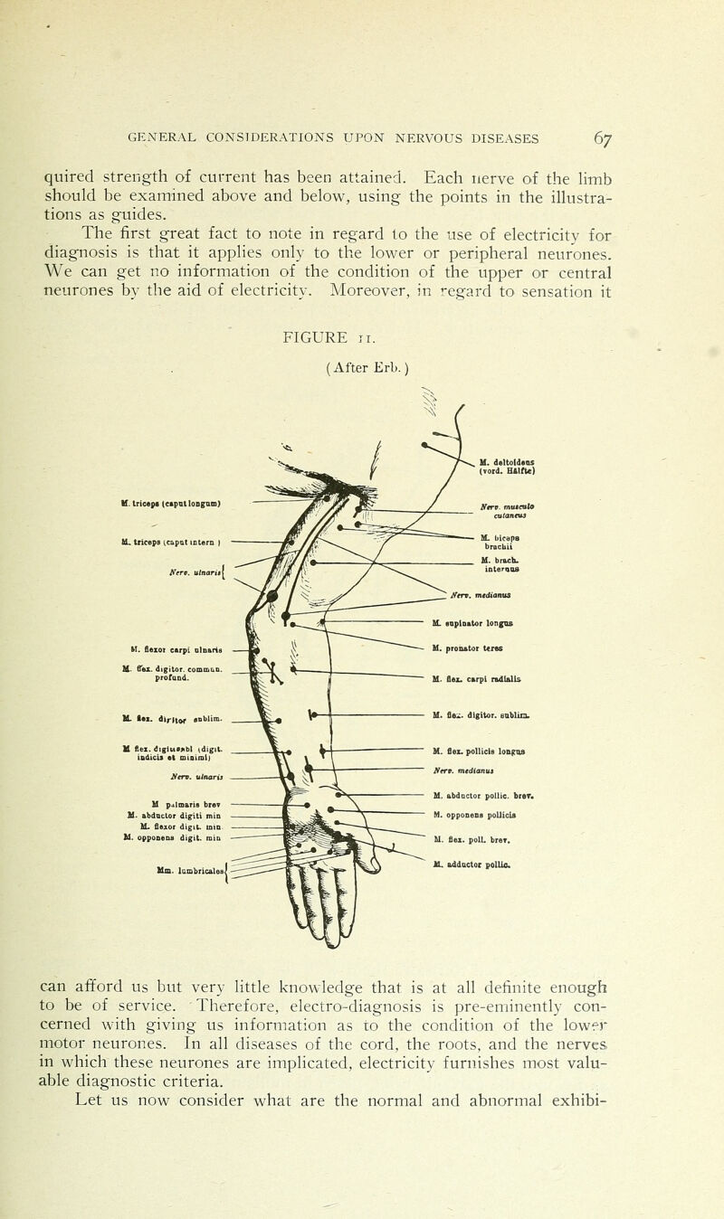 quired strength of current has been attained. Each nerve of the hmb should be examined above and below, using the points in the illustra- tions as guides. The first great fact to note in regard to the use of electricity for diagnosis is that it applies only to the lower or peripheral neurones. We can get no information of the condition of the upper or central neurones by the aid of electricity. Moreover, in regard tO' sensation it FIGURE II. (After Erl). U. tric«^ t^BpntlongiHD) H, thcepB (caput intern M. flezoi carpi olnaris U. flox. digitor. comm profand. U. flex, diritor 0obli 11 fiez. <Jiglus«bl idjgil. indtcis ek minimij M p^tmaris brev U. abdocLor digiti inin M. flexor digit, min U. opponens digit, min Hia. lumbricalea. M. fle:^. dtgitor. sublim. M. flex. polliclB longnB Iferv. mtdianus M. abdoctor pollic. brer* M. opponens poUicU M. flex. polL brer. XL addactoc pollio. can afford us but very little knowledge that is at all definite enough to be of service. Therefore, electro-diagnosis is pre-eminently con- cerned with giving us information as to the condition of the lower motor neurones. In all diseases of the cord, the roots, and the nerves in which these neurones are implicated, electricity furnishes most valu- able diagnostic criteria. Let us now consider what are the normal and abnormal exhibi-