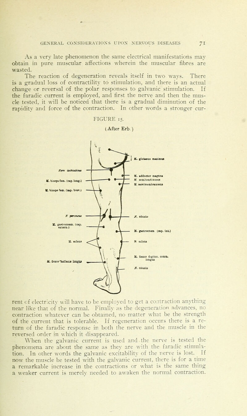 As a very late phenomenon the same electrical manifestations may obtain in pure muscular affections wherein the muscular fibres are wasted. The reaction of degeneration reveals itself in two ways. There is a gradual loss of contractility to stimulation, and there is an actual change or reversal of the polar responses to galvanic stimulation. If the faradic ctirrent is employed, and first the nerve and then the mus- cle tested, it will be noticed that there is a gradual diminution of the rapiditv and force of the contraction. In other words a stronger cur- FIGURE 15. (After Erb.) Sen itckiadiatt U. bicep» fern. (cap. long.) K. biceps ftm. (cap. br«T.) M. flexor'tuUicU loii£;v «. ( hL glutaacs miximas v.. addactor m&gnu !if aemiUadiDosas U. »emImembra.no8U M.. g&atrocnem (cap. laL.} ^ fiezot digit-oi. tomo. rent of electricity will have to be employed to get a contraction anything near like that of the normal. Finally as the degeneration advances, no contraction whatever can be obtamed, no m.atter what be the strength of the current that is tolerable. If regeneration occurs there is a re- turn of the faradic response in both the nerve and the muscle in the reversed order in which it disappeared. When the galvanic current is used and-the nerve is tested the phenomena are about the same as they are with the faradic stimula- tion. In other words the galvanic excitability of the nerve is lost. If now the muscle be tested with the galvanic current, there is for a time a remarkable increase in the contractions or what is the same thing a weaker current is merelv needed to awaken the normal contraction.