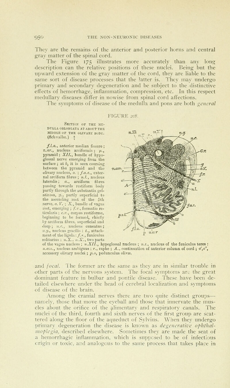 The}' are the remains of the anterior and posterior horns and central gray matter of the spinal cord. The Figure 175 illustrates more accurately than any long description can the relative positions of these nuclei. Being but the upward extension of the gray matter of the cord, they are liable to the same sort of disease processes that the latter is. They may undergo primary and secondary degeneration and be subject to the distinctive effects of hemorrhage, inflammation, compression, etc. In this respect medullary diseases dift'er in nowise from spinal cord affections. The symptoms of disease of the medulla and pons are both general FIGURE 2c8. Section of the me- iiulla oblongata at about the middle of the olivary body. (Schwalbe.) ± f.l.a., anterior median fissure; n.ar., nucleus arcifonnis ; p., pyramid; XII., bundle of hypo- glossal nerve emerging from the surface ; at b, it is seen coursing between the pyramid and the c olivary nucleus, o. ; f.a.e., exter- nal arciform fibres ; n.L, nucleus lateralis; a., arciform fibres passing towards restiform body partly through the substantia gel- atir.osa, f/., partly superficial to the ascending root of the 5th nerve, a. V. ; X, bundle of vagus root, emerging ; /.?•., formatio re- ticularis ; c.r., corpus restiforme, beginning to be formed, chiefly by arciform fibres, superficial and deep; 'n.c, nucleus cuneatus; 5!.y., nucleus gracilis ; (., attach- ment of the ligula : /.---'., funiculus solitarius ; 71.X., /(.X'., two parts of the vagus nucleus ; v.XII., hypoglossal nucleus ; n.i., nucleus of the funiculus teres : n.a'iii., nucleus aml>iguus ; r., raphe ; A., continuation of anterior column of cord ; <^,o, accessory olivary nuclei; p.o, pedunculus olivse. and focal. The former are the same as they are in similar trouble in other parts of the nervous system. The focal symptoms arc the great dominant feature in bulbar and pontile disease. These have been de- tailed elsewhere under the head of cerebral localization and symptoms of disease of the brain. Among the cranial nerves there are two quite distinct groups— namely, those that move the eyeball and those that innervate the mus- cles about the orifice of the alimentary and respiratory canals. The nuclei of the third, fourth and sixth nerves of the first group are scat- tered along the floor of the aqueduct of Sylvius. When they undergo primary degeneration the disease is known as degenerative ophthal- moplegia, described elsewhere. Sometimes they are made the seat of a hemorrhagic inflammation, which is supposed to be of infectious origin or toxic, and analogous to the same process that takes place in