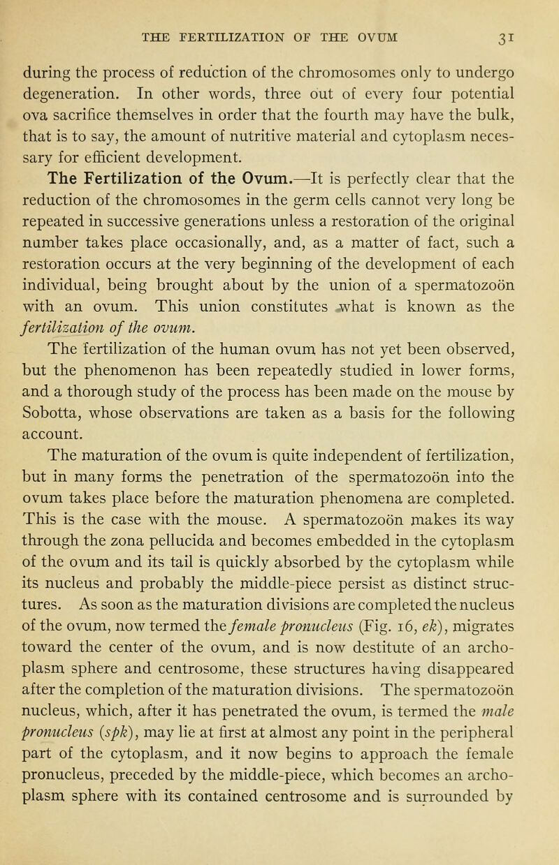 during the process of reduction of the chromosomes only to undergo degeneration. In other words, three out of every four potential ova sacrifice themselves in order that the fourth may have the bulk, that is to say, the amount of nutritive material and cytoplasm neces- sary for efficient development. The Fertilization of the Ovum.—It is perfectly clear that the reduction of the chromosomes in the germ cells cannot very long be repeated in successive generations unless a restoration of the original number takes place occasionally, and, as a matter of fact, such a restoration occurs at the very beginning of the development of each individual, being brought about by the union of a spermatozoon with an ovum. This union constitutes what is known as the fertilization of the ovum. The fertilization of the human ovum has not yet been observed, but the phenomenon has been repeatedly studied in lower forms, and a thorough study of the process has been made on the mouse by Sobotta, whose observations are taken as a basis for the following account. The maturation of the ovum is quite independent of fertilization, but in many forms the penetration of the spermatozoon into the ovum takes place before the maturation phenomena are completed. This is the case with the mouse. A spermatozoon makes its way through the zona pellucida and becomes embedded in the cytoplasm of the ovum and its tail is quickly absorbed by the cytoplasm while its nucleus and probably the middle-piece persist as distinct struc- tures. As soon as the maturation divisions are completed the nucleus of the ovum, now termed the female pronucleus (Fig. 16, ek), migrates toward the center of the ovum, and is now destitute of an archo- plasm sphere and centrosome, these structures having disappeared after the completion of the maturation divisions. The spermatozoon nucleus, which, after it has penetrated the ovum, is termed the male pronucleus (spk), may lie at first at almost any point in the peripheral part of the cytoplasm, and it now begins to approach the female pronucleus, preceded by the middle-piece, which becomes an archo- plasm sphere with its contained centrosome and is surrounded by