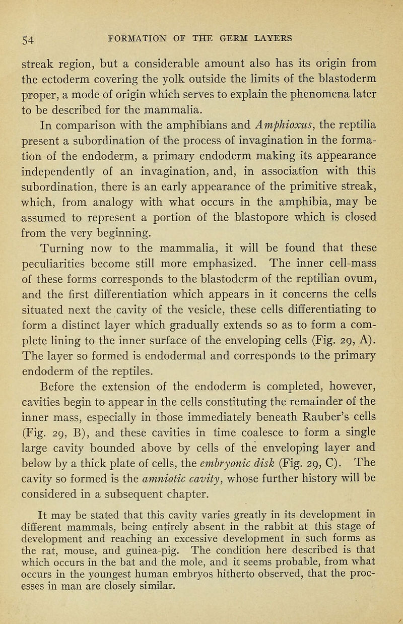 streak region, but a considerable amount also has its origin from the ectoderm covering the yolk outside the limits of the blastoderm proper, a mode of origin which serves to explain the phenomena later to be described for the mammalia. In comparison with the amphibians and Amphioxus, the reptilia present a subordination of the process of invagination in the forma- tion of the endoderm, a primary endoderm making its appearance independently of an invagination, and, in association with this subordination, there is an early appearance of the primitive streak, which, from analogy with what occurs in the amphibia, may be assumed to represent a portion of the blastopore which is closed from the very beginning. Turning now to the mammalia, it will be found that these peculiarities become still more emphasized. The inner cell-mass of these forms corresponds to the blastoderm of the reptilian ovum, and the first differentiation which appears in it concerns the cells situated next the cavity of the vesicle, these cells differentiating to form a distinct layer which gradually extends so as to form a com- plete lining to the inner surface of the enveloping cells (Fig. 29, A). The layer so formed is endodermal and corresponds to the primary endoderm of the reptiles. Before the extension of the endoderm is completed, however, cavities begin to appear in the cells constituting the remainder of the inner mass, especially in those immediately beneath Rauber's cells (Fig. 29, B), and these cavities in time coalesce to form a single large cavity bounded above by cells of the enveloping layer and below by a thick plate of cells, the embryonic disk (Fig. 29, C). The cavity so formed is the amniotic cavity, whose further history will be considered in a subsequent chapter. It may be stated that this cavity varies greatly in its development in different mammals, being entirely absent in the rabbit at this stage of development and reaching an excessive development in such forms as the rat, mouse, and guinea-pig. The condition here described is that which occurs in the bat and the mole, and it seems probable, from what occurs in the youngest human embryos hitherto observed, that the proc- esses in man are closely similar.