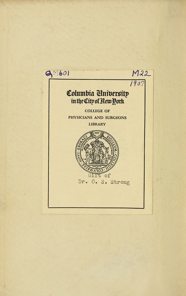 digitised image 2