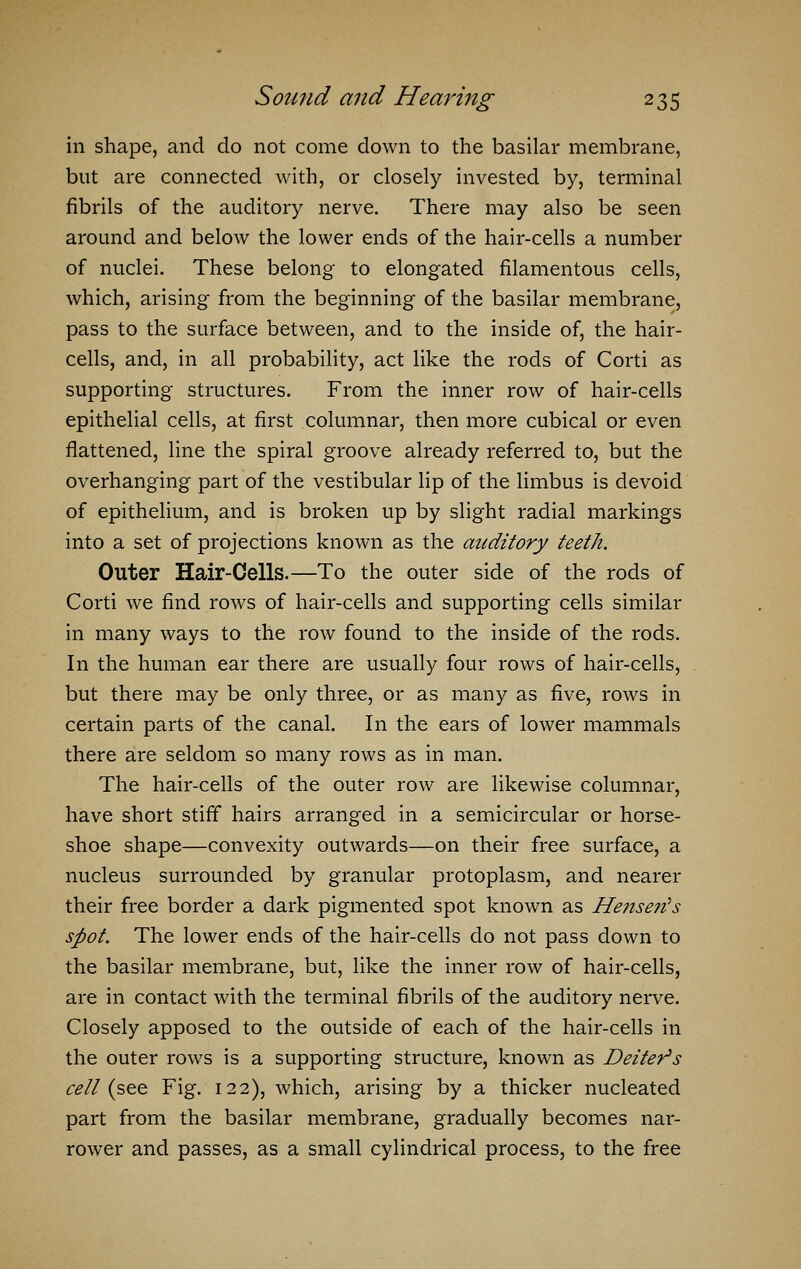 in shape, and do not come down to the basilar membrane, but are connected with, or closely invested by, terminal fibrils of the auditory nerve. There may also be seen around and below the lower ends of the hair-cells a number of nuclei. These belong to elongated filamentous cells, which, arising from the beginning of the basilar membrane, pass to the surface between, and to the inside of, the hair- cells, and, in all probability, act like the rods of Corti as supporting structures. From the inner row of hair-cells epithelial cells, at first columnar, then more cubical or even flattened, line the spiral groove already referred to, but the overhanging part of the vestibular lip of the limbus is devoid of epithelium, and is broken up by slight radial markings into a set of projections known as the auditory teeth. Outer Hair-Cells.—To the outer side of the rods of Corti we find rows of hair-cells and supporting cells similar in many ways to the row found to the inside of the rods. In the human ear there are usually four rows of hair-cells, but there may be only three, or as many as five, rows in certain parts of the canal. In the ears of lower mammals there are seldom so many rows as in man. The hair-cells of the outer row are likewise columnar, have short stiff hairs arranged in a semicircular or horse- shoe shape—convexity outwards—on their free surface, a nucleus surrounded by granular protoplasm, and nearer their free border a dark pigmented spot known as He?iserCs spot. The lower ends of the hair-cells do not pass down to the basilar membrane, but, like the inner row of hair-cells, are in contact with the terminal fibrils of the auditory nerve. Closely apposed to the outside of each of the hair-cells in the outer rows is a supporting structure, known as Better's cell (see Fig. 122), which, arising by a thicker nucleated part from the basilar membrane, gradually becomes nar- rower and passes, as a small cylindrical process, to the free