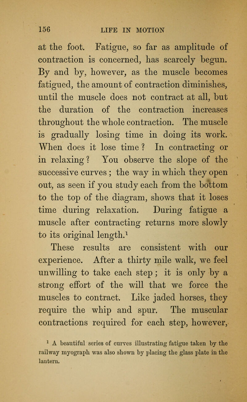 at the foot. Fatigue, so far as amplitude of contraction is concerned, has scarcely begun. By and by, however, as the muscle becomes fatigued, the amount of contraction diminishes, until the muscle does not contract at all, but the duration of the contraction increases throughout the whole contraction. The muscle is gradually losing time in doing its work. When does it lose time ? In contracting or in relaxing ? You observe the slope of the successive curves ; the way in which they open out, as seen if you study each from the bottom to the top of the diagram, shows that it loses time during relaxation. During fatigue a muscle after contracting returns more slowly to its original length.1 These results are consistent with our experience. After a thirty mile walk, we feel unwilling to take each step; it is only by a strong effort of the will that we force the muscles to contract. Like jaded horses, they require the whip and spur. The muscular contractions required for each step, however, 1 A beautiful series of curves illustrating fatigue taken by the railway myograph was also shown by placing the glass plate in the lantern.