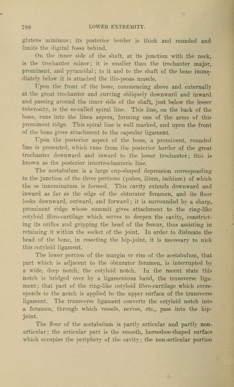 glTiteus minimus: it? posterior border is thick and rounded and limits the digital fossa behind. On the inner side of the shaft, at its junction with the neck, is the trochanter minor; it is smaller than the trochanter major, prominent, and pyramidal; to it and to the shaft of the bone imme- diately below it is attached the ilio-psoas muscle. Upon the front of the bone, commencing above and externally at the great trochanter and curving obliquely downward and inward and passing around the inner side of the shaft, just below the lesser tuberosity, is the so-called spiral line. This line, on the back of the bone, runs into the linea aspera, forming one of the arms of this prominent ridge. This spiral line is well marked, and upon the front of the bone gives attachment to the capsular ligament. Upon the posterior aspect of the bone, a prominent, rounded line is presented, which runs from the posterior border of the great trochanter downward and inward to the lesser trochanter; this is known as the posterior intertrochanteric line. The acetabulum is a large cup-shaped depression corresponding to the junction of the three portions (pubes, ilium, ischium) of which the OS innominatum is formed. This cavity extends downward and inward as far as the edge of the obturator foramen, and its floor looks downward, outward, and forward; it is surrounded by a sharp, prominent ridge whose summit gives attachment to the ring-like cot^ioid fibro-cartilage which serves to deepen the cavity, constrict- ing its orifice and gripping the head of the femur, thus assisting in retaining it within the socket of the joint. In order to dislocate the head of the bone, in resecting the hip-joint, it is necessary to nick this cotyloid ligament. The lower portion of the margin or rim of the acetabulum, that part wMch. is adjacent to the obturator foramen, is interrupted by a wide, deep notch, the cot^ioid notch. In the recent state this notch is bridged over by a ligamentous band, the transverse liga- ment ; that part of the ring-like cot^doid fibro-cartilage which corre- sponds to the notch is applied to the upper surface of the transverse ligament. The transverse ligament converts the cotyloid notch into a foramen, through which vessels, nerves, etc., pass into the hip- joint. The floor of the acetabulum is partly articular and partly non- articular; the articular part is the smooth, horseshoe-shaped surface which occupies the periphery of the cavity; the non-articular portion