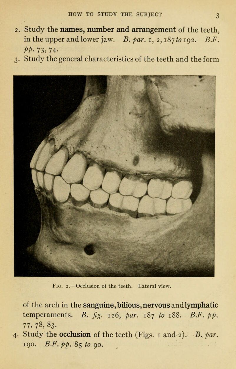 2. Study the names, number and arrangement of the teeth, in the upper and lower jaw. B. par. i, 2,187/0192. B.F. PP- n, 74- 3. Study the general characteristics of the teeth and the form Fig. 2.—Occlusion of the teeth. Lateral view. of the arch in the sanguine, bilious, nervous and lymphatic temperaments. B. fig. 126, par. 187 to 188. B.F. pp. 11, 78, ^Z- 4. Study the occlusion of the teeth (Figs, i and 2). B. par. 190. B.F. pp. 85 to 90. ^