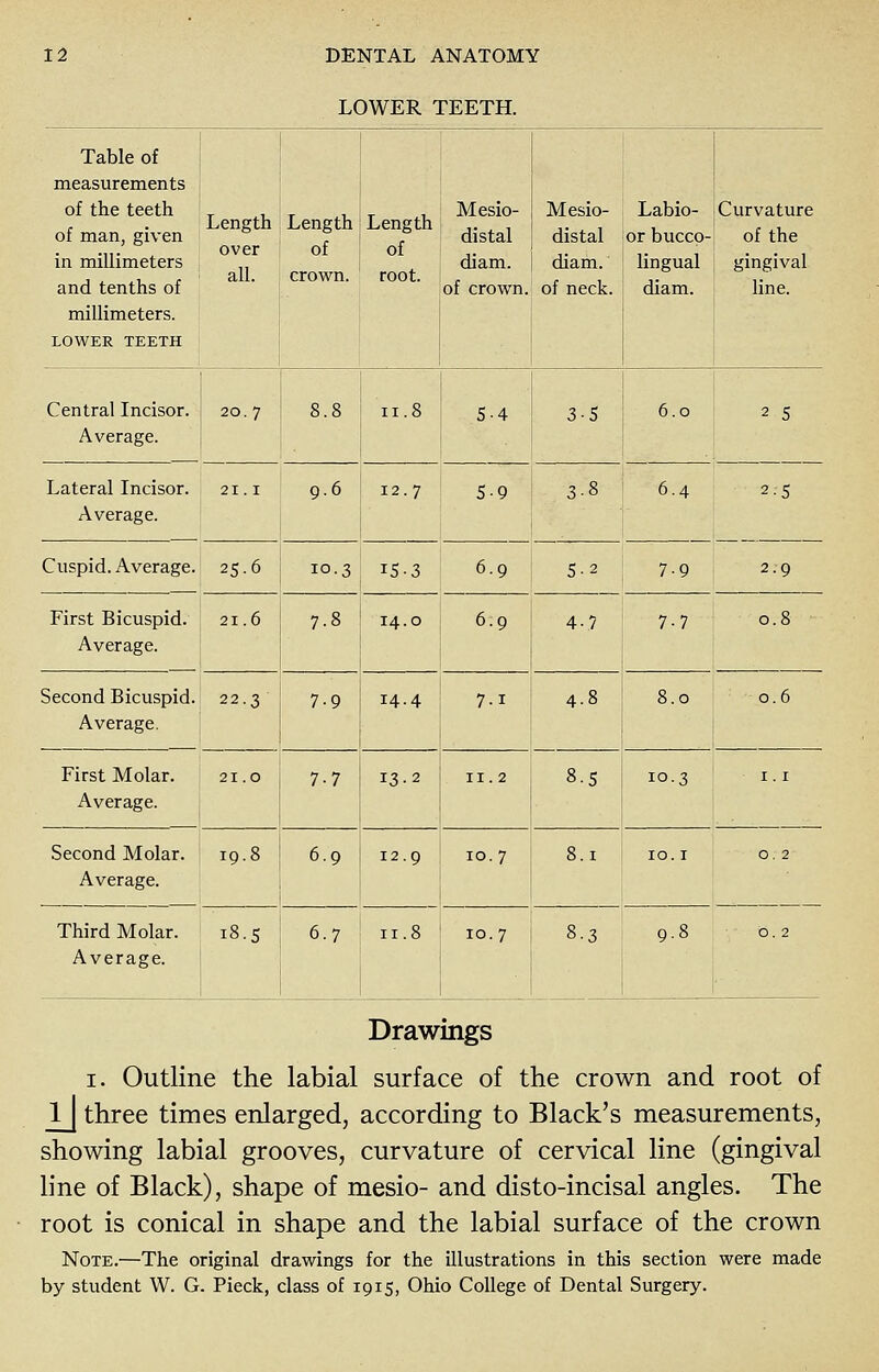 LOWER TEETH. Table of measurements of the teeth of man, given in millimeters and tenths of millimeters. LOWER TEETH Length Length Length over of of all. crown. root. Mesio- distal diam. Mesio- Labio- distal or bucco- Curvature of the diam. lingual ; gingival Central Incisor. | 20.7 Average. of crown, of neck. diam. line. S-4 3-5 6.0 2 S Lateral Incisor. Average. 21.1 9.6 12.7 5-9 3-8 6.4 2-5 Cuspid. Average. 25.6 10.3 iS-3 6.9 5-2 7-9 2.9 First Bicuspid. Average. 21.6 7.8 14.0 6:9 4-7 7-7 0.8 Second Bicuspid. Average. 22.3 7-9 14.4 7-1 4.8 8.0 0.6 First Molar. Average. 21.0 7-7 13.2 II. 2 8.5 10.3 I. I Second Molar. Average. 19.8 6.9 12.9 10.7 8.1 10.1 0. 2 Third Molar. Average. 1 18.5 6.7 II.8 10.7 8.3 9.8 0. 2 Drawings I. Outline the labial surface of the crown and root of 1 I three times enlarged, according to Black's measurements, showing labial grooves, curvature of cervical line (gingival line of Black), shape of mesio- and disto-incisal angles. The root is conical in shape and the labial surface of the crown Note.—The original drawings for the illustrations in this section were made by student W. G. Pieck, class of 19x5, Ohio College of Dental Surgery.