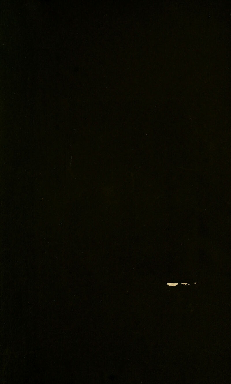 m iW: ^■•^' K,.-. '-*r»«,wt' . -_ , », ',.4'.- , .'.. mm