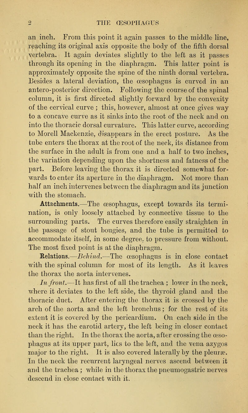 an inch. From this point it again passes to the middle line, reaching its original axis opposite the body of the fifth dorsal vertebra. It again deviates slightly to the left as it passes through its opening in the diaphragm. This latter point is approximately opposite the spine of the ninth dorsal vertebra. Besides a lateral deviation, the cesophagus is curved in an antero-posterior direction. Following the course of the spinal column, it is first directed slightly forward by the convexity of the cervical curve ; this, however, almost at once gives way to a concave curve as it sinks into the root of the neck and on into the thoracic dorsal curvature. This latter curve, according to Morell Mackenzie, disappears in the erect posture. As the tube enters the thorax at the root of the neck, its distance from the surface in the adult is from one and a half to two inches, the variation depending upon the shortness and fatness of the part. Before leaving the thorax it is directed somewhat for- wards to enter its aperture in the diaphragm. Not more than half an inch intervenes between the diaphragm and its junction with the stomach. Attaclmients.—The oesophagus, except towards its termi- nation, is only loosely attached by connective tissue to the surrounding parts. The curves therefore easily straighten in the passage of stout bougies, and the tube is permitted to .accommodate itself, in some degree, to pressure from without. The most fixed point is at the diaphragm. Relations.—Behind.—The oesophagus is in close contact with the sjiinal column for most of its length. As it leaves the thorax the aorta intervenes. In front.—It has first of all the trachea ; lower in the neck, where it deviates to the left side, the thyroid gland and the thoracic duct. After entering the thorax it is crossed by the arch of the aorta and the left bronchus; for the rest of its extent it is covered by the pericardium. On each gide in the neck it has the carotid artery, the left being in closer contact than the right. In the thorax the aorta, after crossing the oeso- phagus at its upper part, lies to the left, and the vena azygos major to the right. It is also covered laterally by the pleurse. In the neck the recurrent laryngeal nerves ascend between it and the trachea ; while in the thorax the pneumogastric nerves descend in close contact with it.