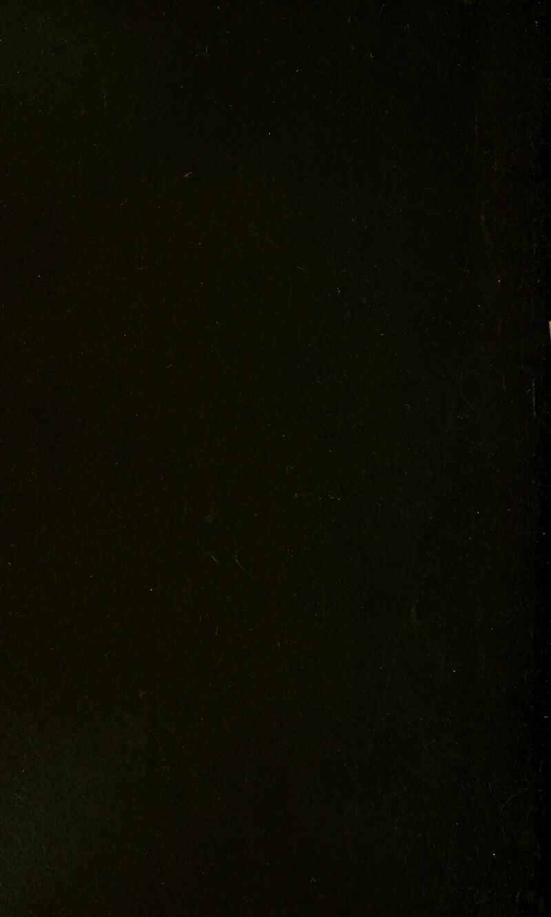 T'^i' ns^::^'i &> t ■t ■:r; %