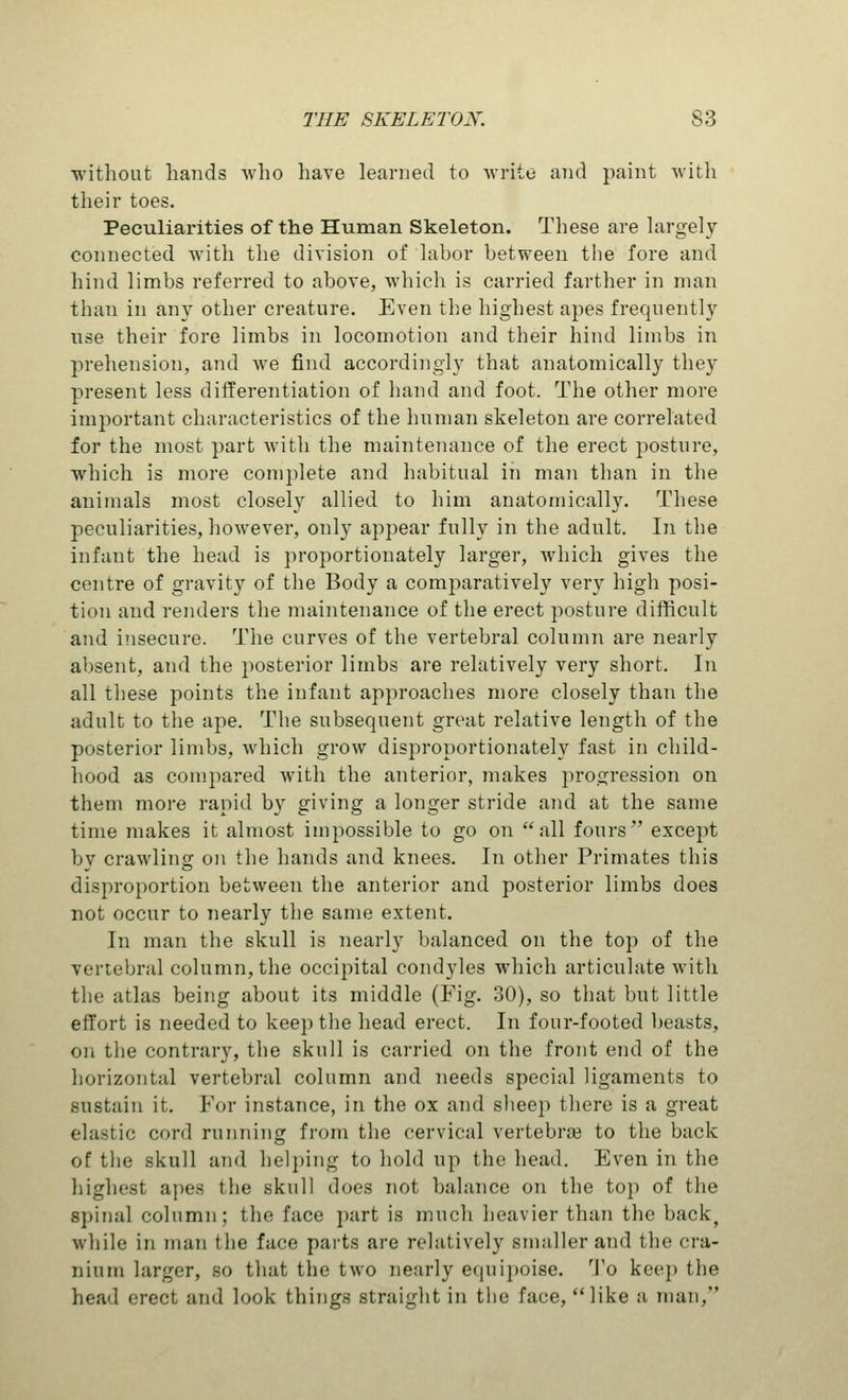 ■without hands Avho liave learned to write and paint with their toes. Peculiarities of the Human Skeleton. These are largely connected with the division of labor between the fore and hind limbs referred to above, which is carried farther in man than in any other creature. Even the highest apes frequently use their fore limbs in locomotion and their hind limbs in prehension, and we find accordingly that anatomically they present less differentiation of hand and foot. The other more important characteristics of the human skeleton are correlated for the most part with the maintenance of the erect posture, which is more complete and habitual in man than in the animals most closely allied to him anatomically. These peculiarities, however, only appear fully in the adult. In the infant the head is proportionately larger, which gives the centre of gravity of the Body a comparatively very high posi- tion and renders the maintenance of the erect posture difficult and insecure. The curves of the vertebral column are nearly absent, and the posterior limbs are relatively very short. In all these points the infant approaches more closely than the adult to the ape. The subsequent great relative length of the posterior limbs, which grow disproportionately fast in child- hood as compared with the anterior, makes progression on them more rapid by giving a longer stride and at the same time makes it almost impossible to go on all fours'' except by crawling on the hands and knees. In other Primates this disproportion between the anterior and posterior limbs does not occur to nearly the same extent. In man the skull is nearly balanced on the top of the vertebral column, the occipital condyles which articulate with the atlas being about its middle (Fig. 30), so that but little effort is needed to keep the head erect. In four-footed beasts, on the contrary, the skull is carried on the front end of the horizontal vertebral column and needs special ligaments to sustain it. For instance, in the ox and sheep there is a great elastic cord running from the cervical vertebra? to the back of the skull and helping to hold up the head. Even in the highest apes the skull does not balance on the top of the spinal column; the face part is much heavier than the back, while in man the face parts are relatively smaller and the cra- nium larger, so that the two nearly equipoise. To keep the head erect and look things straight in the face, like a man,