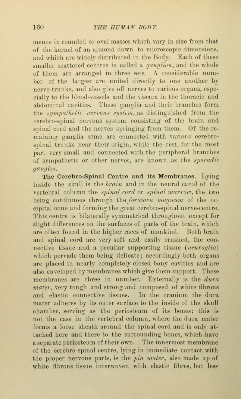 mence in rounded or oval masses which vary in size from that of the kernel of an almond down to microscopic; dimensions, and which are widely distributed in the liody. Each of these smaller scattered centres is called a ganglion, and the whole of them are arranged in three sets. A considerable num- ber of the largest are united directly to one another by nerve-trunks, and also give off nerves to various organs, espe- cially to the blood-vessels and the viscera in the thoracic and abdominal cavities. These ganglia and their branches form the sympathetic nervous system, as distinguished from the cerebro-spinal nervous system consisting of the brain and spinal cord and the nerves springing from them. Of the re- maining ganglia some are connected with various cerebro- spinal trunks near their origin, while the rest, for the most part very small and connected with the peripheral branches of sympathetic or other nerves, are known as the sporadic ganglia. The Cerebro-Spinal Centre and its Membranes. Lying inside the skull is the brain and in the neural canal of the vertebral column the spinal cord or spinal marrow, the two being continuous through the foramen magnum of the oc- cipital oone and forming the great cerebro-spinal nerve-centre. This centre is bilaterally symmetrical throughout except for slight differences on the surfaces of parts of the brain, which are often found in the higher races of mankind. Both brain and spinal cord are very soft and easily crushed, the con- nective tissue and a peculiar supporting tissue (neuroglia) which pervade them being delicate; accordingly both organs are placed in nearly completely closed bony cavities and are also enveloped by membranes which give them support. These membranes are three in number. Externally is the dura mater, very tough and strong and composed of white fibrous and elastic connective tissues. In the cranium the dura mater adheres by its outer surface to the inside of the skull chamber, serving as the periosteum of its bones; this is not the case in the vertebral column, where the dura mater forms a loose sheath around the spinal cord and is only at- tached here and there to the surrounding bones, which have a separate periosteum of their own. The innermost membrane of the cerebro-spinal centre, lying in immediate contact with the proper nervous parts, is the pia mater, also made up of white fibrous tissue interwoven with elastic fibres, but less