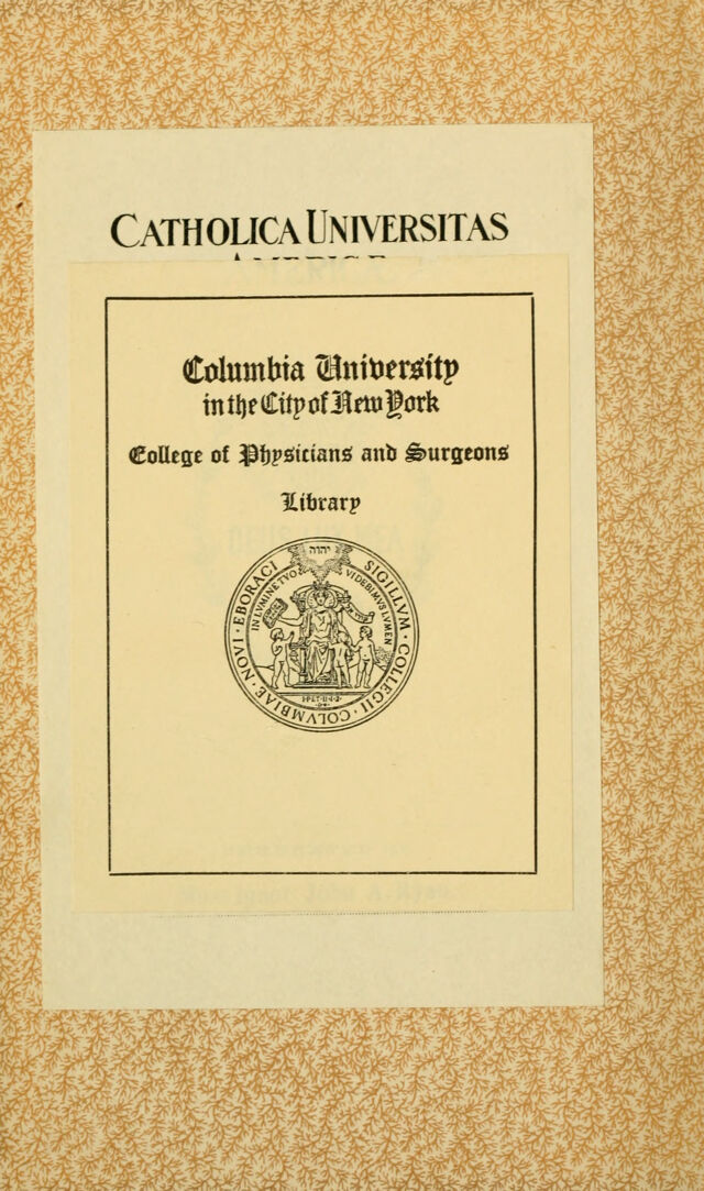 digitised image 2