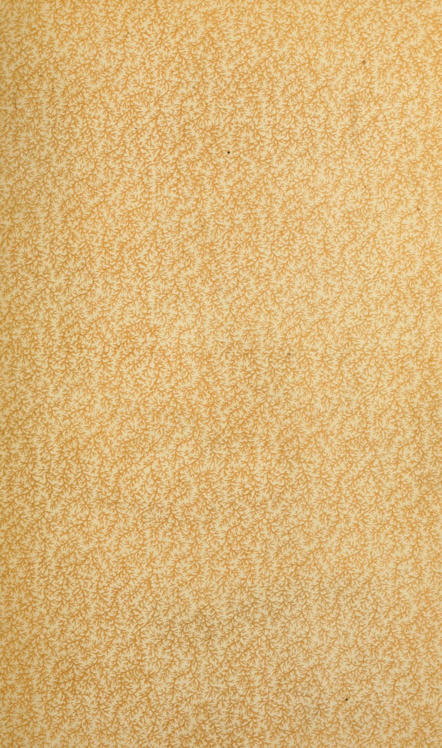 digitised image 3