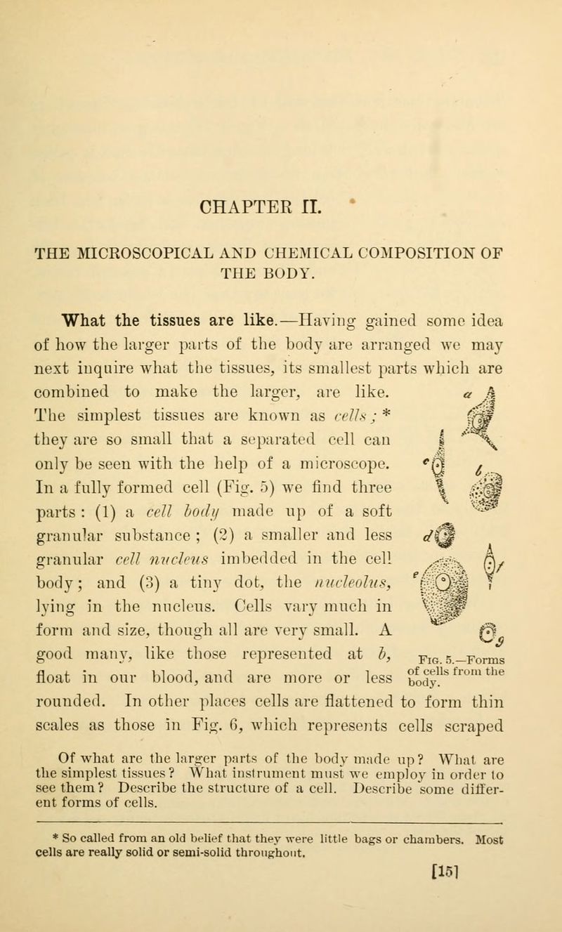 CHAPTER II. THE MICROSCOPICAL AND CHEMICAL COMPOSITION OF THE BODY. What the tissues are like.—Having gained some idea of how the larger parts of the body are arranged we may next inquire what the tissues, its smallest parts which are combined to make the larger, are like. a k The simjflest tissues are known as cells : * '?££ they are so small that a separated cell can | ' \ only be seen with the help of a microscope. 'm! , In a fully formed cell (Fig. 5) we find three % .£*jgf parts : (1) a cell body made up of a soft granular substance ; (2) a smaller and less </{jf granular cell nucleus imbedded in the cell ^-.: x h. body; and (3) a tiny dot, the nucleolus, e^^C^M < lying in the nucleus. Cells vary much in ^:,'::%-? form and size, though all are very small. A 0 good many, like those represented at b, no. 5-Forms float in our blood, and are more or less £odys from the rounded. In other places cells are flattened to form thin scales as those in Fig. 6, which represents cells scraped Of what arc the larger parts of the body made up? What are the simplest tissues? What instrument must we employ in order to see them? Describe the structure of a cell. Describe some differ- ent forms of cells. * So called from an old belief that they were little bags or chambers. Most cells are really solid or semi-solid throughout. [151