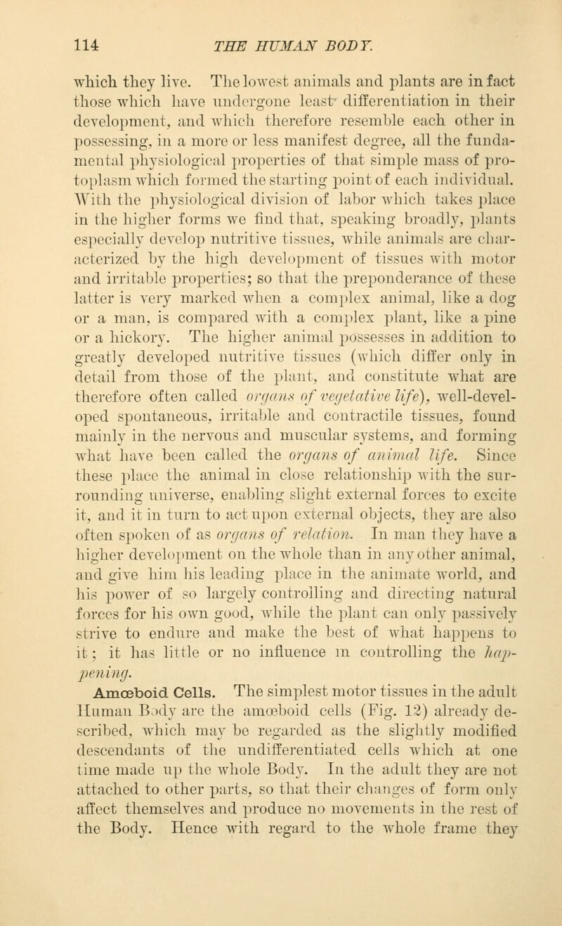 which they live. The lowest animals and plants are in fact those which have nndcrgone least- differentiation in their development, and wliich therefore resemble each other in possessing, in a more or less manifest degree, all the funda- mental physiological properties of that simple mass of pro- toplasm which formed the starting point of each individual. With the johysiological division of labor which takes place in the higher forms we find that, speaking broadly, plants especially develop nutritive tissues, while animals are char- acterized by the high development of tissues with motor and irritable properties; so that the jDrej^onderance of these latter is very marked when a comi)lex animal, like a dog or a man, is compared with a complex plant, like a pine or a hickory. The higher animal possesses in addition to greatly developed nutritive tissues (which differ only in detail from those of the plant, and constitute what are therefore often called orfjans of vegetative life), well-devel- oped spontaneous, irritable and contractile tissues, found mainly in the nervous and muscular systems, and forming what have been called the organs of animal life. Since these place the animal in close relationship with the sur- rounding universe, enabling slight external forces to excite it, and it in turn to act upon external objects, they are also often spoken of as orgaiis of relatioti. In man they have a higher develoi)ment on the whole than in any other animal, and give him liis leading place in the animate world, and his power of so largely controlling and directing natural forces for his own good, while the plant can only passively strive to endure and make the best of what happens to it; it has little or no influence m controlling the haj)- pening. AmcBboid Cells. The simplest motor tissues in the adult Human Body are the amoeboid cells (Fig. 12) already de- scribed, which may be regarded as the slightly modified descendants of the undifferentiated cells which at one time made up the whole Body. In the adult they are not attached to other parts, so that their changes of form only affect themselves and produce no movements in the rest of the Body. Hence with regard to the whole frame they