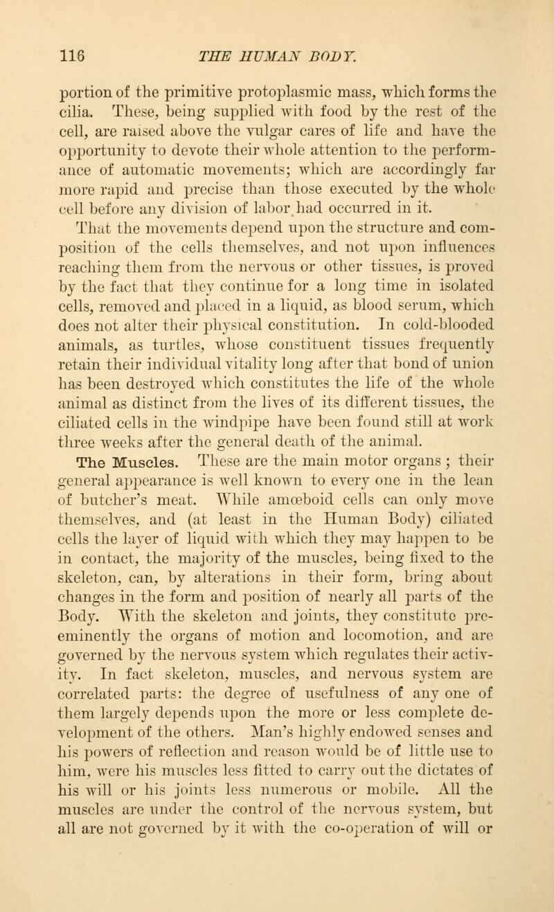 portion of the primitive protoplasmic mass, wliicli forms tlie cilia. These, being supplied with food by the rest of the cell, are raised above the vulgar cares of life and have the opportunity to devote their whole attention to the perform- ance of automatic movements; which are accordingly far more rapid and precise than those executed by the whole cell before any division of kiborhad occurred in it. That the movements depend upon the structure and com- position of the cells themselves, and not upon influences reaching them from the nervous or other tissues, is proved by the fact that they continue for a long time in isolated cells, removed and placed in a liquid, as blood serum, which does not alter their physical constitution. In cold-blooded animals, as turtles, whose constituent tissues frequently retain their individual vitality long after that bond of union has been destroyed which constitutes the life of the whole animal as distinct from the lives of its different tissues, the ciliated cells in the windpipe have been found still at work three weeks after the general death of the animal. The Muscles. These are the main motor organs ; their general appearance is well known to every one in the lean of butcher's meat. While amceboid cells can only move themselves, and (at least in the Human Body) ciliated cells the layer of liquid with which they may happen to be in contact, the majority of the muscles, being fixed to the skeleton, can, by alterations in their form, bring about changes in the form and i:)Osition of nearly all parts of the Body. With the skeleton and joints, they constitute pre- eminently the organs of motion and locomotion, and are governed by the nervous system which regulates their activ- ity. In fact skeleton, muscles, and nervous system are correlated parts: the degree of usefulness of any one of them largely depends upon the more or less complete de- velopment of the others. Man's highly endowed senses and his powers of reflection and reason would be of little use to him, were his muscles less fitted to carry out the dictates of his will or his joints less numerous or mobile. All the muscles are under the control of the nervous system, but all are not governed by it with the co-02)eration of will or