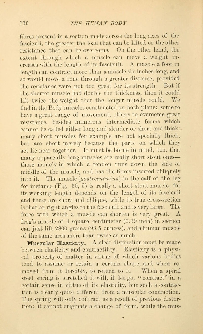 fibres present in a section made across the long axes of the fasciculi, the greater the load that can be lifted or the other resistance that can be overcome. On the other hand, the extent through Avliich a muscle can move a weight in- creases with the length of its fasciculi. A muscle a foot m length can contract more than a muscle six inches long, and so would move a bone through a greater distance, jirovided the resistance were not too great for its strength. But if the shorter muscle had double the thickness, then it could lift twice the weight that the longer muscle could. We find in the Body muscles constructed on both plans; some to have a great range of movement, others to overcome great resistance, besides numerous intermediate forms which cannot be called either long and slender or short and thick; many short muscles for example are not specially thick, but are short merely because the parts on which they act lie near together. It must be borne in mind, too, that many apparently long muscles are really short stout ones— those namely in which a tendon runs down the side or middle of the muscle, and has the fibres inserted obliquely into it. The muscle {gastrocnemius) in the calf of the leg for instance (Fig. 50, b) is really a short stout muscle, for its working length depends on the length of its fasciculi and these are shor.t and oblique, while its true cross-section is that at right angles to the fasciculi and is very large. The force with which a muscle can shorten is very great. A frog's muscle of 1 square centimeter (0.39 inch) m section can just lift 2800 grams (98.5 ounces), and a human muscle of the same area more than twice as much. Muscular Elasticity. A clear distinction must be made between elasticity and contractility. Elasticity is a physi- cal property of matter in virtue of which various bodies tend to assume or retain a certain shape, and when re- moved from it forcibly, to return to it. When a spiral steel spring is stretched it will, if let go, contract in a certain sense in virtue of its elasticity, but such a contrac- tion is clearly quite different from a muscular contraction. The spring will only contract as a result of previous distor- tion; it cannot originate a chiinge of form, while the mus-