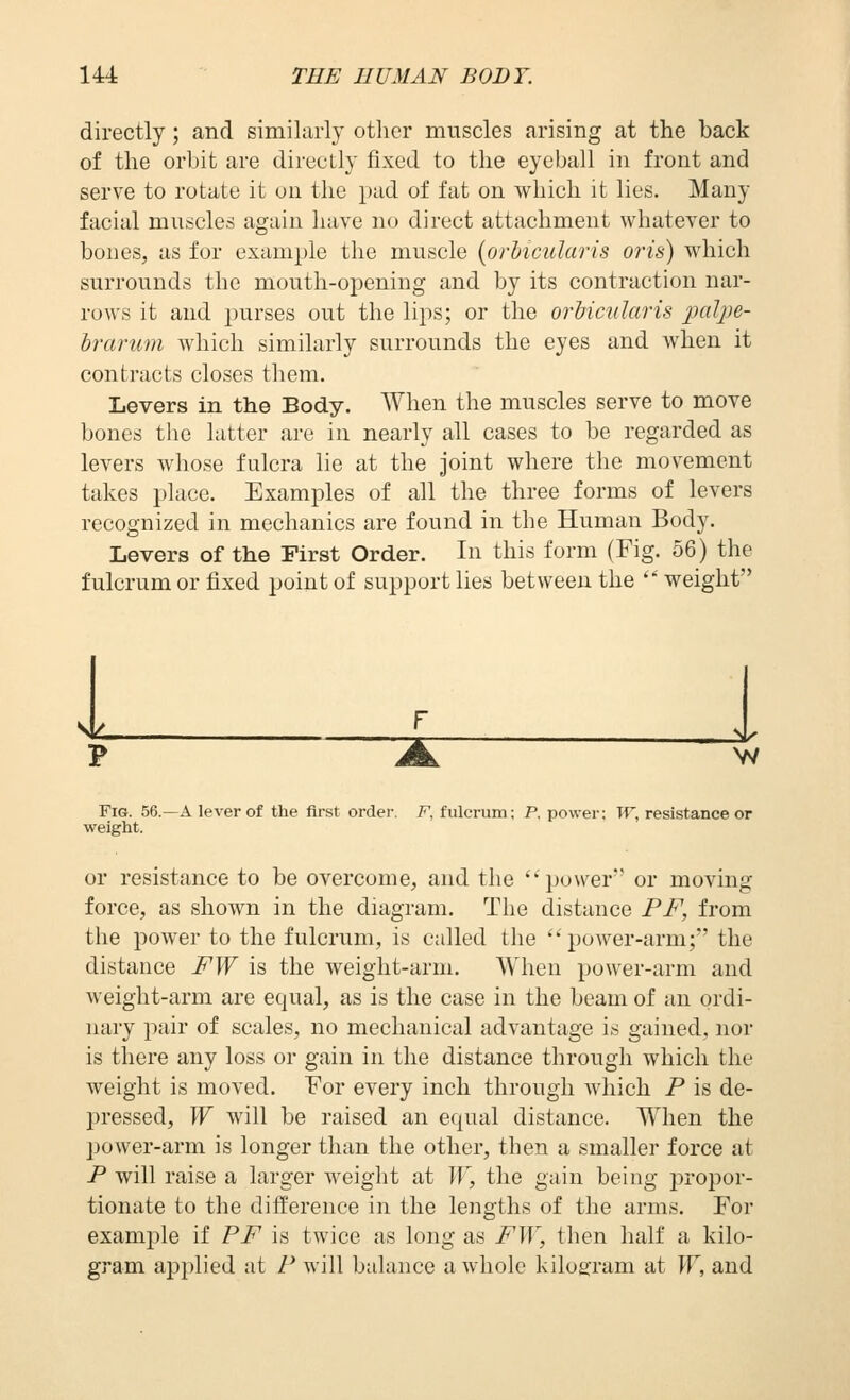 directly; and similarly other muscles arising at the back of the orbit are directly fixed to the eyeball in front and serve to rotate it on the pad of fat on which it lies. Many facial muscles again have no direct attachment whatever to boiies, as for example the muscle [orhicularis oris) which surrounds the mouth-opening and by its contraction nar- rows it and purses out the lips; or the orbicularis palpe- hrarum which similarly surrounds the eyes and when it contracts closes them. Levers in the Body. When the muscles serve to move bones the latter are in nearly all cases to be regarded as levers whose fulcra lie at the joint where the movement takes place. Examples of all the three forms of levers recognized in mechanics are found in the Human Body. Levers of the First Order. In this form (Fig. 56) the fulcrum or fixed point of support lies between the  weight Sli 1 _J^ Fig. 56.—a lever of the first order. 7=^, fulcrum; P. power; W, resistance or weight. or resistance to be overcome, and the ''power' or moving force, as shown in the diagram. The distance PF, from the power to the fulcrum, is called the  puwer-arm; the distance FW is the weight-arm. When power-arm and weight-arm are equal, as is the case in the beam of an ordi- nary pair of scales, no mechanical advantage is gained, nor is there any loss or gain in the distance through which the Aveight is moved. For every inch through Avhich P is de- pressed, W Avill be raised an equal distance. When the power-arm is longer than the other, then a smaller force at P will raise a larger weight at W, the gain being propor- tionate to the difference in the lengths of the arms. For example if PF is twice as long as FW, then half a kilo- gram applied at F will balance a whole kilogram at W, and