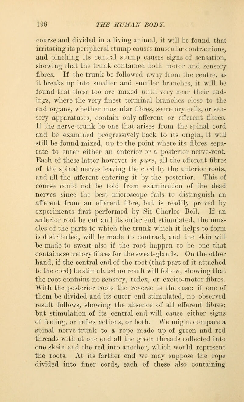 course and divided in a living animal, it will be found that irritating its peripheral stump causes muscular contractions, and i)incliing its central stum}) causes signs of sensation, showing that the trunk contained both motor and sensory fibres. If the trunk be followed away from tlie centre, as it breaks up into smaller and smaller briuu-hos, it will be found that these too are mixed until very near their end- ings, where the very finest terminal branches close to the end organs, whether muscular fibres, secretory cells, or sen- sory apparatuses, contain only afferent or efferent fibres. If the nerve-trunk be one that arises from the spinal cord and be examined progressively back to its origin, it will still be found mixed, up to the point where its fibres sepa- rate to enter either an anterior or a posterior nerve-root. Each of these latter hoAvever is pure, all the efferent fibres of the spinal nerves leaving the cord by the anterior roots, and all the afferent entering it by the posterior. This of course could not be told from examination of the dead nerves since the best microscope fails to distinguish an afferent from an efferent fibre, but is readily proved by experiments first performed by Sir Charles Bell. If an anterior root be cut and its outer end stimulated, the mus- cles of the parts to which the trunk which it helps to form is distributed, will be made to contract, and the skin will be made to sweat also if the root haj)pen to be one that contains secretory fibres for the sweat-glands. On the other hand, if the central end of the root (that j^art of it attached to the cord) be stimulated no result will follow, showing that the root contains no sensory, reflex, or excito-motor fibres. With the posterior roots the reverse is the case: if one of them be divided and its outer end stimulated, no observed result follows, showing the absence of all efferent fibres; but stimulation of its central end will cause either signs of feeling, or reflex actions, or both. We might compare a spinal nerve-trunk to a rope made up of green and red threads with at one end all the green threads collected into one skein and the red into another, which would represent the roots. At its farther end Ave may suppose the rope divided into finer cords, each of these also containing