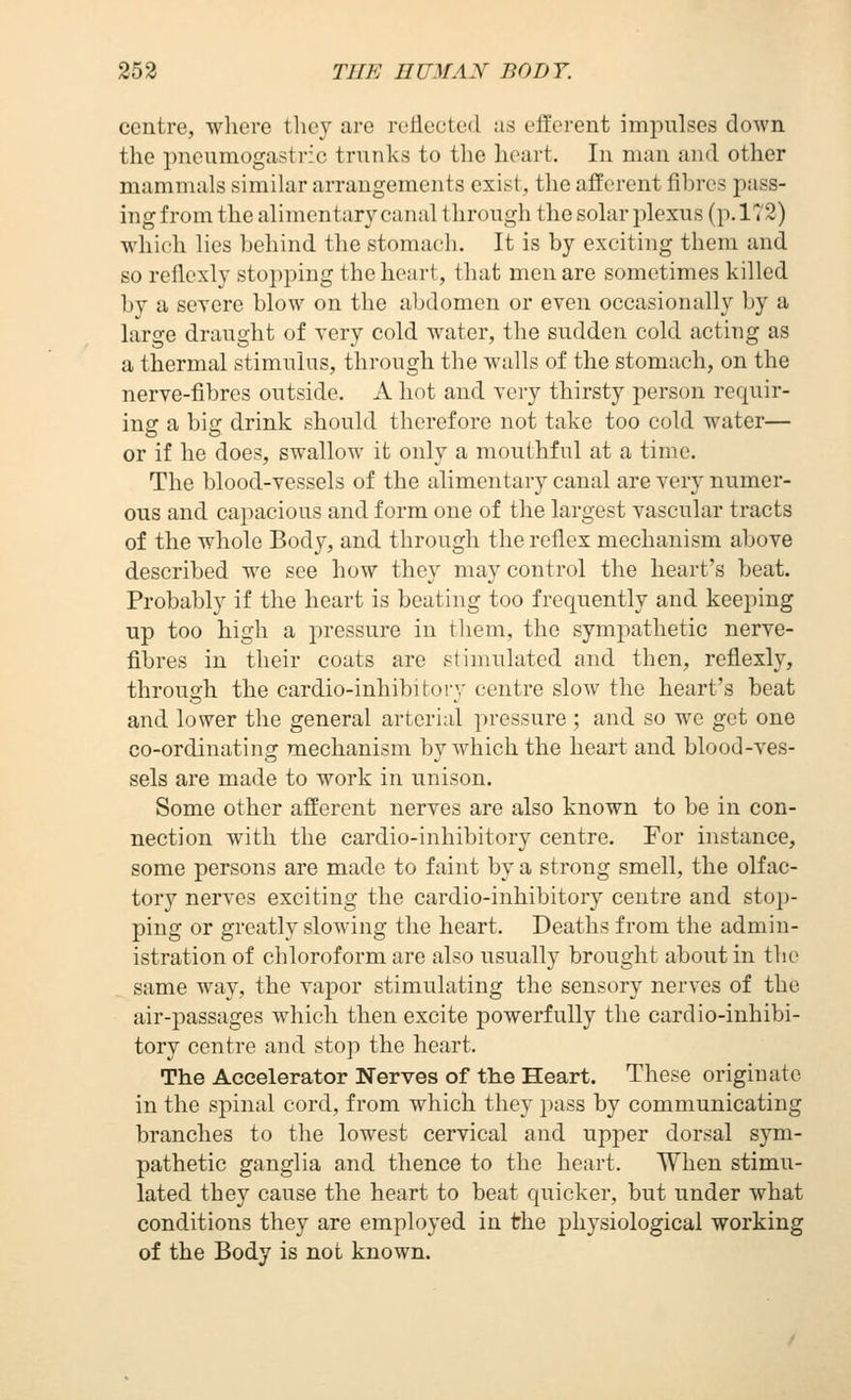 centre, where they are reilecled as efferent impulses down the pneumogastric trunks to tlie heart. In man and other mammals similar arrangements exist, the afferent fibres pass- ing from the alimentary canal through the solar plexus (p. 172) which lies behind the stomach. It is by exciting them and so reflexly stopping the heart, that men are sometimes killed by a severe blow on the abdomen or even occasionally by a large draught of very cold water, the sudden cold acting as a thermal stimulus, through the walls of the stomach, on the nerve-fibres outside. A hot and very thirsty jierson requir- ing a big drink should therefore not take too cold water— or if he does, swallow it only a mouthful at a time. The blood-vessels of the alimentary canal are very numer- ous and capacious and form one of the largest vascular tracts of the whole Body, and through the reflex mechanism above described we see how they may control the heart's beat. Probably if the heart is beating too frequently and keeping up too high a pressure in them, the sympathetic nerve- fibres in their coats are stimulated and then, reflexly, through the cardio-inhibitorv centre slow the heart's beat and lower the general arterial pressure ; and so we get one co-ordinating mechanism by which the heart and blood-ves- sels are made to work in unison. Some other afferent nerves are also known to be in con- nection with the cardio-inhibitory centre. For instance, some persons are made to faint by a strong smell, the olfac- tory nerves exciting the cardio-inhibitory centre and stop- ping or greatly slowing the heart. Deaths from the admin- istration of chloroform are also usually brought about in the same way, the vapor stimulating the sensory nerves of the air-passages which then excite powerfully the cardio-inhibi- tory centre and stop the heart. The Accelerator Nerves of the Heart. These originate in the spinal cord, from which tliey pass by communicating branches to the lowest cervical and upper dorsal sym- pathetic ganglia and thence to the heart. When stimu- lated they cause the heart to beat quicker, but under what conditions they are employed in the physiological working of the Body is not known.