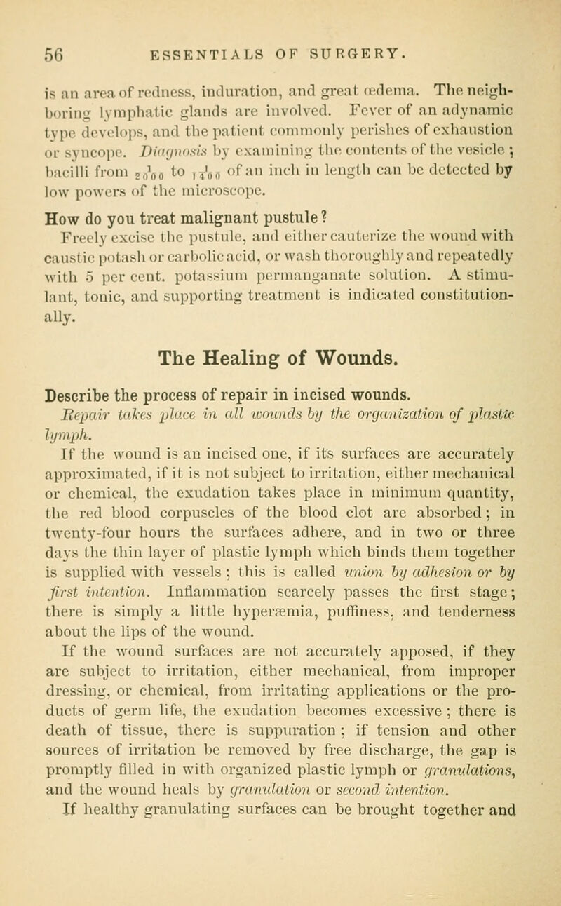 is an area of redness, induration, and great a>dcma. The neigh- boring lymphatic glands are involved. Fever of an adynamic type develops, and the patient commonly perishes of exhaustion or syncope. Dia(jnosi<i by examining the contents of the vesicle \ bacilli from z^^ao to y^'fln of an inch in length can be detected by low powers of the microscope. How do you treat malignant pustule ? Freely excise the pustule, and either cauterize the wound with caustic potash or carbolic acid, or wash thoroughly and repeatedly with 0 per cent, potassium permanganate solution. A stimu- lant, tonic, and supporting treatment is indicated constitutioa- ally. The Healing of Wounds. Describe the process of repair in incised wounds. Bepair takes 'place in all toounds by the organization of plastic lymph. If the wound is an incised one, if its surfaces are accurately approximated, if it is not subject to irritation, either mechanical or chemical, the exudation takes place in minimum quantity, the red blood corpuscles of the blood clot are absorbed; in twenty-four hours the surfaces adhere, and in two or three days the thin layer of plastic lymph which binds them together is supplied with vessels ; this is called union by adhesion or by first intention. Inflammation scarcely passes the first stage; there is simply a little hyperfemia, puffiness, and tenderness about the lips of the wound. If the wound surfaces are not accurately apposed, if they are subject to irritation, either mechanical, from improper dressing, or chemical, from irritating applications or the pro- ducts of germ life, the exudation becomes excessive ; there is death of tissue, there is suppuration ; if tension and other sources of irritation be removed by free discharge, the gap is promptly filled in with organized plastic lymph or gramdations, and the wound heals by gramdation or second intention. If healthy granulating surfaces can be brought together and