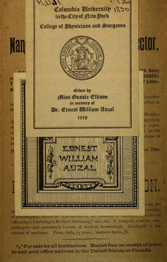 No text description is available for this image