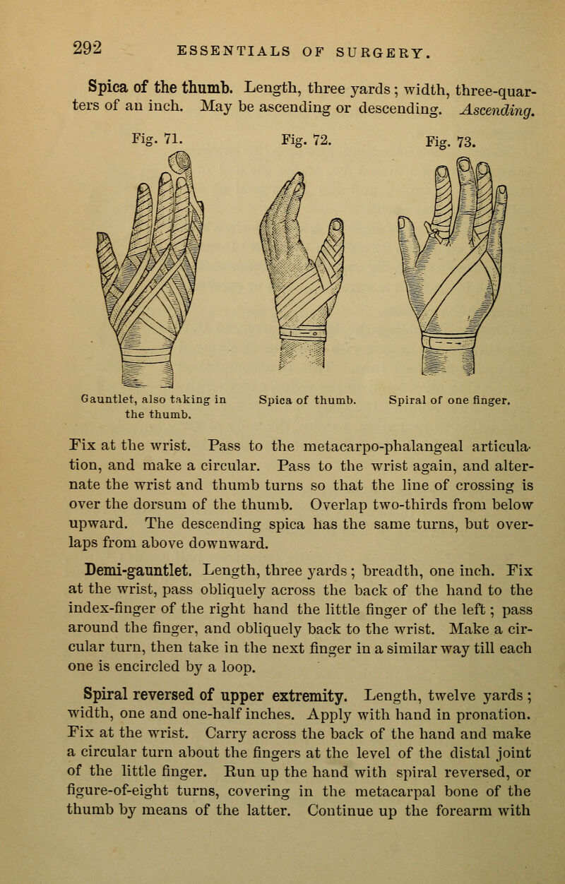 Spica of the thumb. Length, three yards; width, three-quar- ters of au inch. May be ascending or descending. Ascending. Fig. 71. Fig. 72. Fig. 73. Gauntlet, also taking In the thumb. Spica of thumb. Spiral of one finger. Fix at the wrist. Pass to the metacarpo-phalangeal articula- tion, and make a circular. Pass to the wrist again, and alter- nate the wrist and thumb turns so that the line of crossing is over the dorsum of the thumb. Overlap two-thirds from below upward. The descending spica has the same turns, but over- laps from above downward. Demi-gauntlet. Length, three yards; breadth, one inch. Fix at the wrist, pass obliquely across the back of the hand to the index-finger of the right hand the little finger of the left; pass around the finger, and obliquely back to the wrist. Make a cir- cular turn, then take in the next finger in a similar way till each one is encircled by a loop. Spiral reversed of upper extremity. Length, twelve yards ; width, one and one-half inches. Apply with hand in pronation. Fix at the wrist. Carry across the back of the hand and make a circular turn about the fingers at the level of the distal joint of the little finger. Run up the hand with spiral reversed, or figure-of-eight turns, covering in the metacarpal bone of the thumb by means of the latter. Continue up the forearm with