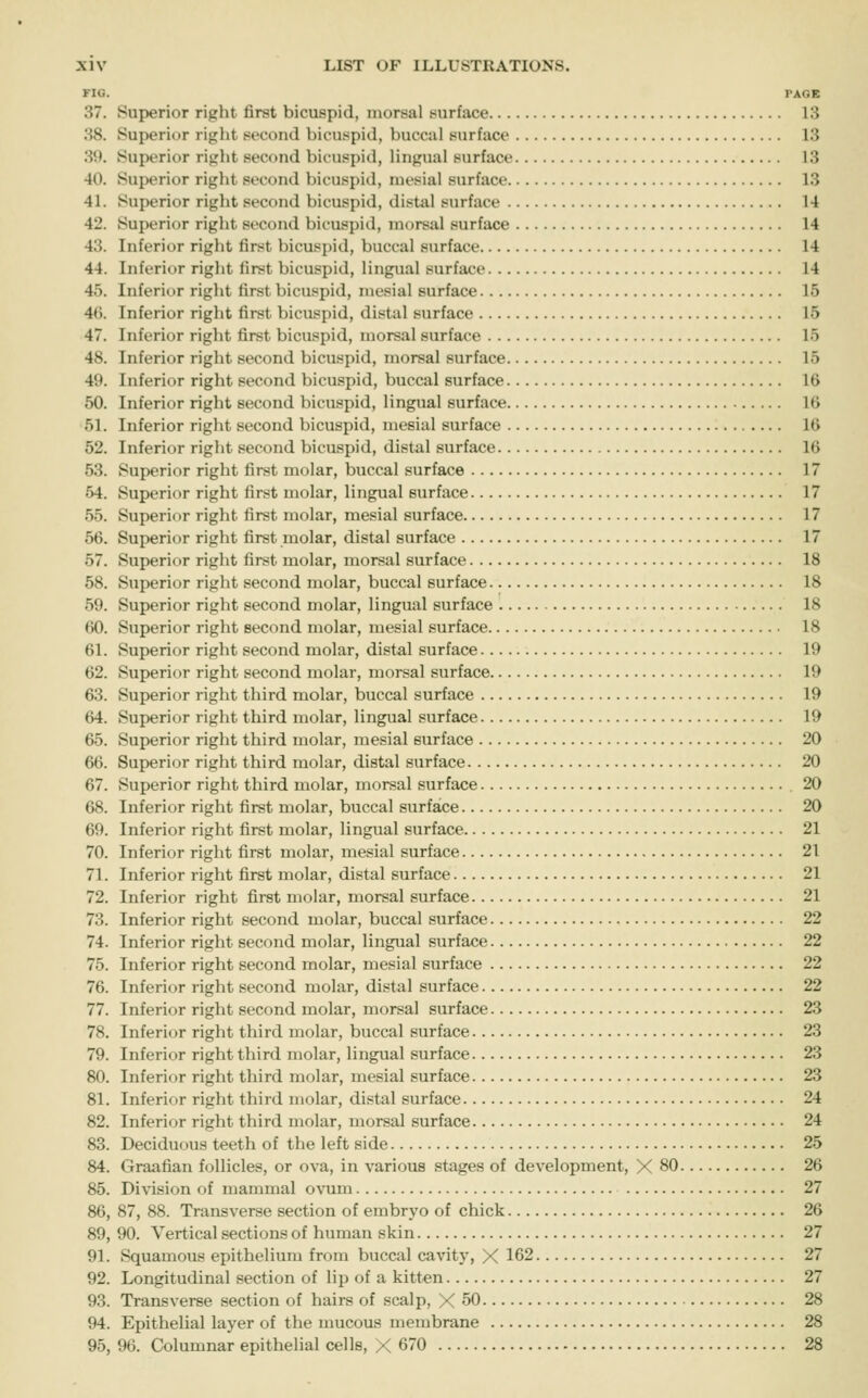 FIG. PAGE 37. Superior right first bicuspid, morsal surface 13 38. Superior right second bicuspid, buccal surface 13 39. Superior right second bicuspid. Ungual surface 13 40. Superior right second bicuspid, mesial surface 13 41. Superior right second bicuspid, distal surface 14 42. Superior right second bicuspid, morsal surface 14 43. Inferior right first bicuspid, buccal surface 14 44. Inferior right first bicuspid, lingual surface 14 45. Inferior right first bicuspid, mesial surface 15 40. Inferior right first bicuspid, distal surface 15 47. Inferior right first bicuspid, morsal surface 15 48. Inferior right second bicuspid, morsal surface 15 49. Inferior right second bicuspid, buccal surface 16 50. Inferior right second bicuspid, lingual surface 16 51. Inferior right second bicuspid, mesial surface 16 52. Inferior right second bicuspid, distal surface 16 53. Superior right first molar, buccal surface 17 54. Superior right first molar, lingual surface 17 55. Superior right first molar, mesial surface 17 56. Superior right first molar, distal surface 17 57. Superior right first molar, morsal surface 18 58. Superior right second molar, buccal surface 18 59. Superior right second molar, lingual surface 18 60. Superior right second molar, mesial surface 18 61. Superior right second molar, distal surface 19 62. Superior right second molar, morsal surface 19 63. Superior right third molar, buccal surface 19 64. Superior right third molar, lingual surface 19 65. Superior right third molar, mesial surface 20 66. Superior right third molar, distal surface 20 67. Superior right third molar, morsal surface .20 68. Inferior right first molar, buccal surface 20 69. Inferior right first molar, lingual surface 21 70. Inferior right first molar, mesial surface 21 71. Inferior right first molar, distal surface 21 72. Inferior right first molar, morsal surface 21 73. Inferior right second molar, buccal surface 22 74. Inferior right second molar, lingual surface 22 75. Inferior right second molar, mesial surface 22 76. Inferior right second molar, distal surface 22 77. Inferior right second molar, morsal surface 23 78. Inferior right third molar, buccal surface 23 79. Inferior right third molar, lingual surface 23 80. Inferior right third molar, mesial surface 23 81. Inferior right third molar, distal surface 24 82. Inferior right third molar, morsal surface 24 83. Deciduous teeth of the left side 25 84. Graafian follicles, or ova, in various stages of development, X 80 26 85. Div-ision of mammal ovum 27 86. 87, 88. Transverse section of embryo of chick 26 89, 90. Vertical sections of human skin 27 91. Squamous epithelium from buccal cavity, X 162 27 92. Longitudinal section of lip of a kitten 27 93. Transverse section of hairs of scalp, X 50 28 94. Epithelial layer of the mucous membrane 28 95. 96. Columnar epithelial cells, X 670 28