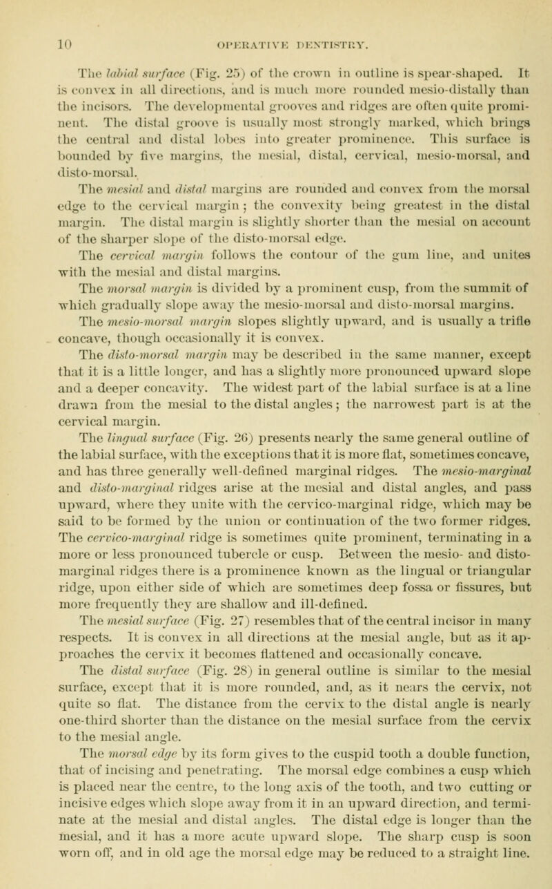 The Jaltial surface (Fig. 25) of tlio crown in outline is spear-shaped. It is convex in all (lirections, and is iiuuli more rounded mesio-distally than the incisors. The developmeutiil j^rooves and ridges are often quite promi- nent. The distal groove is usually most strongly marked, which brings the central and distal lobes into greater prominence. This surface is bounded by five margins, the mesial, distal, cervical, mesio-morsal, and disto-mors;il. Tlie mesial and dixtal margins are rounded and convex from the morsal edge to the cervical margin ; the convexity being greatest in the distal margin. The distal margin is slightly shorter than the mesial on account of the shari)er slope of the disto-morsal edge. The cervical margin follows the contour of the gum line, and unites ■vrith the mesial and distal margins. The morsal margin is divided by a prominent cusp, from the summit of which giadually slope away the mesio-inoisal and disto-morsal margins. The mesio-morsal margin slopes slightly upward, and is usually a trifle concave, though occasionally it is convex. The disto-ynorsal margin may be described iu the same manner, except that it is a little longer, and has a slightly more pronounced ui)ward slope and a deeper concavity. The widest part of the labial surface is at a line drawn from the mesial to the distal angles; the narrowest part is at the cervical margin. The lingual surface (Fig. 2G) presents nearly the same general outline of the labial surface, with the exceptions that it is more flat, sometimes concave, and has three generally well-defined marginal ridges. The mesio-marginal and disto-marginal ridges arise at the mesial and distal angles, and i^ass upward, where they unite with the cervico-marginal ridge, which may be said to be formed by the union or continuation of the two former ridges. The cervico-marginal ridge is sometimes quite prominent, terminating iu a more or less pronounced tubercle or cusp. Between the mesio- and disto- marginal ridges there is a prominence known as the lingual or triangular ridge, ujjon either side of which are sometimes deep fossa or fissures, but more frequently they are shallow and ill-defined. The mesial surface (Fig. 27) resembles that of the central incisor iu many respects. It is convex in all directions at the mesial angle, but as it aj)- proachcs the cervix it becomes flattened and occasionally concave. The distal surface (Fig. 28) in general outline is similar to the mesial surface, except that it is more rounded, and, as it nears the cervix, not quite so flat. The distance from the cervix to the distal angle is nearly one-third shorter than the distance on the mesial surface from the cervix to the mesial angle. The morsal edge by its form gives to the cuspid tooth a double function, that of incising and penetrating. The morsal edge combines a cusi> which is placed near the centre, to the long axis of the tooth, and two cutting or incisive edges which slope away from it in an upward direction, and termi- nate at the mesial and distal angles. The distal edge is longer than the mesial, and it has a more acute ujjward slope. The sharp cusp is soon worn off, and in old age the morsal edge may be reduced to a straight line.
