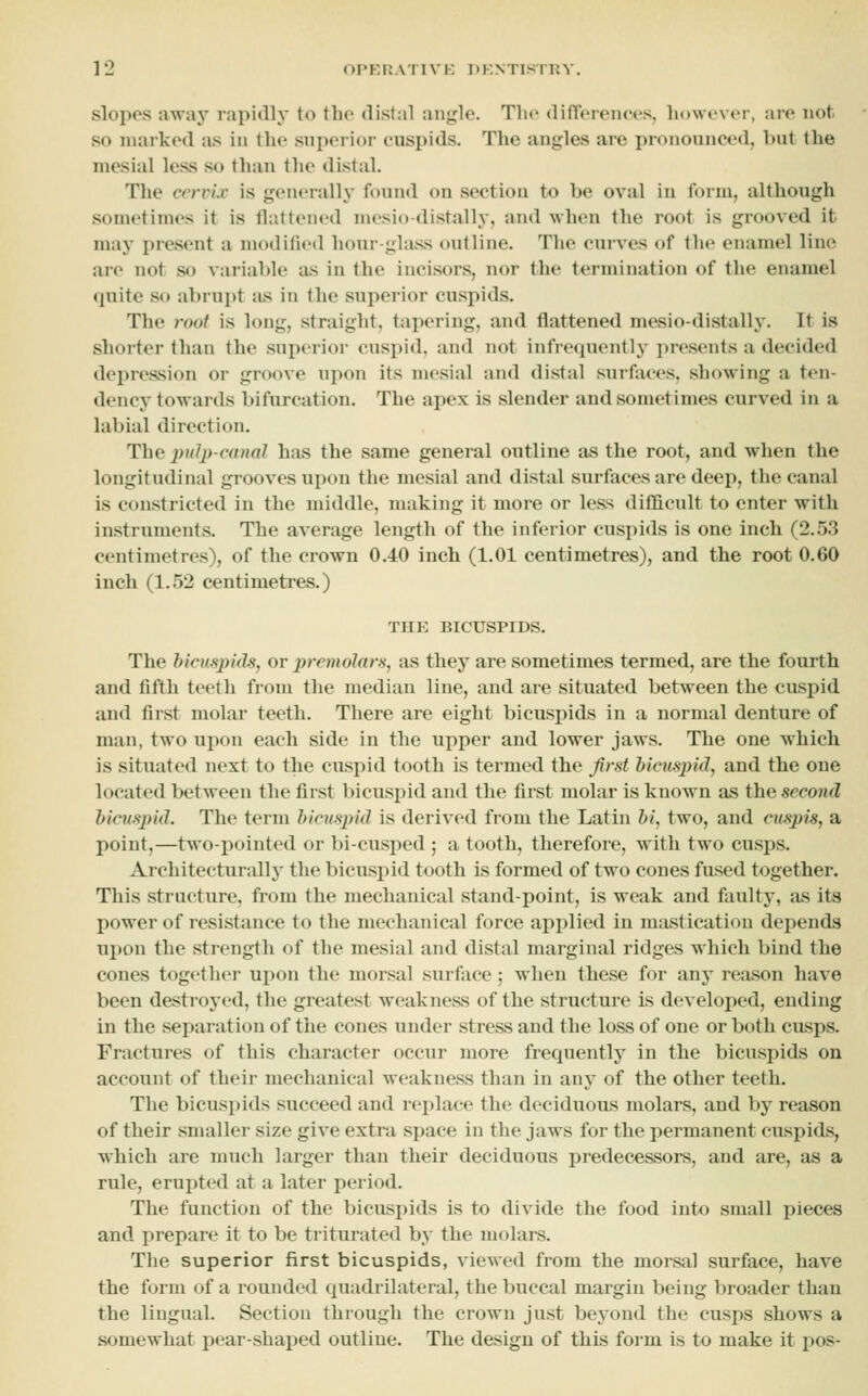slopes awaj' rapidly to the distal angle. Tlio differencoSj however, are not so marked as iu the superior cuspids. The angles are pronounced, but the mesial less so than the distal. The cervix is generally found on section to be oval in form, although sometimes it is flattened mesio-distally, and when the root is grooved it may present a modified hour-glass outline. The curves of the enamel line are not so variable as iu the incisors, nor the termination of the enamel quite so abrupt as in the superior cuspids. The root is long, straight, tiiperiug, and flattened mesio-distally. It is shorter than the superior cuspid, and not infrequently presents a decided depression or groove upon its mesial and distal surfaces, showing a ten- dency towards bifurcation. The apex is slender and sometimes curved in a labial direction. The 2)ul2)-canal has the same general outline as the root, and when the longitudinal grooves upon the mesial and distal surfaces are deep, the canal is constricted in the middle, making it more or less difficult to enter with instruments. The average length of the inferior cuspids is one inch (2.53 centimetres), of the crown 0.40 inch (1,01 centimetres), and the root 0.60 inch (1.52 centimetres.) THE BICUSPIDS. The bicusjyids, or premolars, as they are sometimes termed, are the fourth and tifth teeth from the median line, and are situated between the cuspid and first molar teeth. There are eight bicuspids in a normal denture of man, two upon each side in the upper and lower jaws. The one which is situated next to the cuspid tooth is termed the Jirst hicuspkl, and the one located between the first bicuspid and the first molar is known as the second hicnspid. The term hicuspid is derived from the Latin hi, two, and cuspis, a point,—two-pointed or bi-cusped ; a tooth, therefore, with two cusps. Architecturally the bicuspid tooth is formed of two cones fused together. This structure, from the mechanical stand-point, is weak and fiiulty, as its power of resistance to the mechanical force applied in mastication depends ui)on the strength of the mesial and distal marginal ridges which bind the cones together ui^on the morsal surface; when these for any reason have been destroyed, the greatest weakness of the structure is developed, ending in the separation of the cones under stress and the loss of one or both cusps. Fractures of this character occur more frequently in the bicuspids on account of their mechanical weakness than in any of the other teeth. The bicuspids succeed and replace the deciduous molars, and by reason of their smaller size give extra space in the jaws for the permanent cuspids, which are much larger than their deciduous predecessors, and are, as a rule, erupted at a later period. The function of the bicuspids is to divide the food into small pieces and prepare it to be triturated by the molars. The superior first bicuspids, viewed from the morsal surface, have the form of a rounded quadrilateral, the buccal margin being broader than the lingual. Section through the crown just beyond the cusjis shows a somewhat pear-shaped outline. The design of this foi'm is to make it pos-
