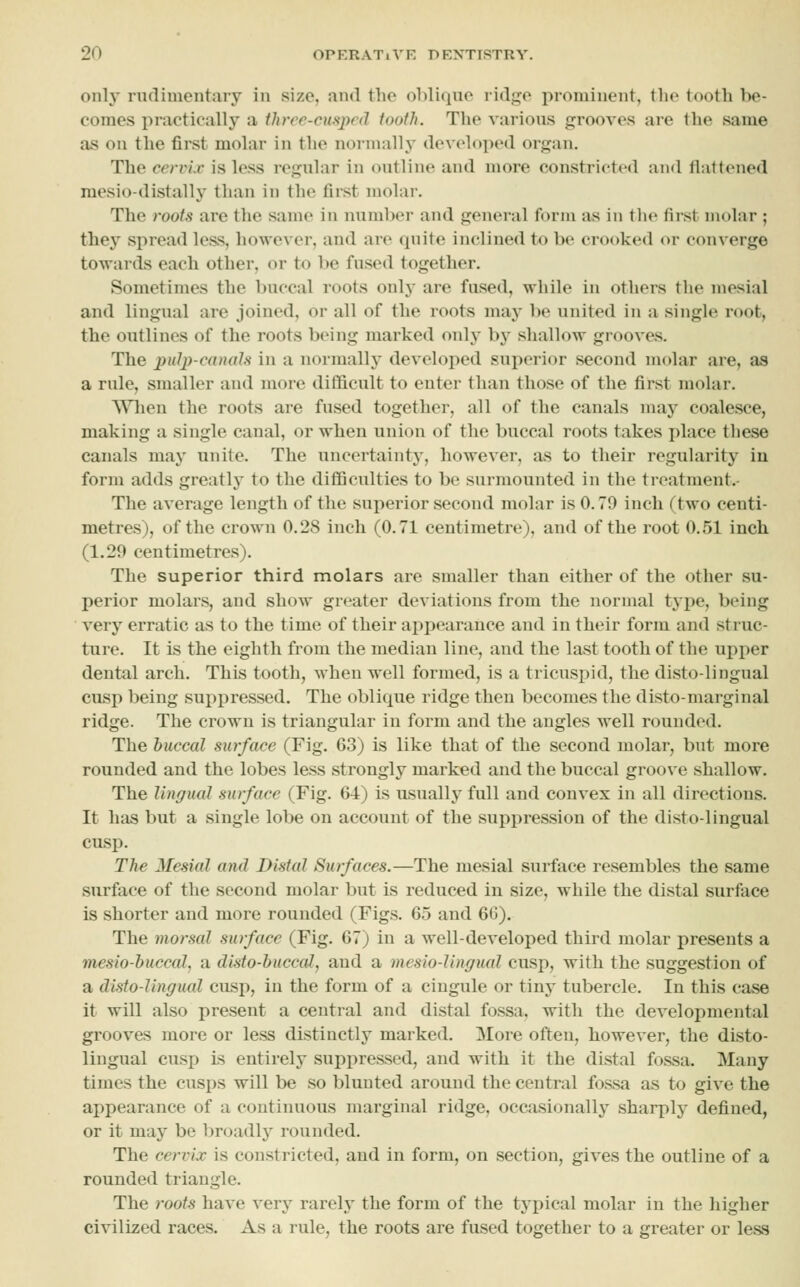 only rudimentary in size, and the oblique ridge prominent, the tooth be- comes practically a thrcr-cusj^nl tooth. The various grooves are the same as on the first molar in the normally developed organ. The cervix is less regular in outline and more constricted and flattened mesio-distally than in the first molar. The roots are the same in iuiml)er and general form as in the first molar ; they spread less, however, and are quite inclined to be crooked or converge towards each other, or to be fused together. Sometimes the buccal roots only are fused, while in others the mesial and lingual are joined, or all of the roots may be united in a single root, the outlines of the roots being marked only by shallow grooves. The j>«?j^-caHa7,s in a normally developed superior second molar are, as a rule, smaller and more difficult to enter than those of the first molar. When the roots are fused together, all of the canals may coalesce, making a single canal, or when union of the buccal roots takes place these canals may unite. The uncertaintj', however, as to their regularity in form adds greatly to the difficulties to be surmounted in the treatment.- The average length of the superior second molar is 0.79 inch (two centi- metres), of the crown 0.28 inch (0.71 centimetre), and of the root 0.51 inch (1.29 centimetres). The superior third molars are smaller than either of the other su- perior molars, and show greater deviations from the normal type, being very erratic as to the time of their appearance and in their form and struc- ture. It is the eighth from the median line, and the last tooth of the upper dental arch. This tooth, when well formed, is a tricuspid, the disto-lingual cusp being suppressed. The oblique ridge then becomes the disto-marginal ridge. The crown is triangular in form and the angles well rounded. The buccal surface (Fig. 63) is like that of the second molar, but more rounded and the lobes less strongly marked and the buccal groove shallow. The lingual surface (Fig. 64) is usually full and convex in all directions. It has but a single lobe on account of the suppression of the disto-lingual cusp. The Mesial and Distal Surfaces.—The mesial surface resembles the same surface of the second molar but is reduced in size, while the distal surface is shorter and more rounded (Figs. 65 and 60). The morsal surface (Fig. 67) in a well-developed third molar presents a mesio-buccal, a disto-buccal, and a mesio-lingual cusp, with the suggestion of a disto-lingual cusp, in the form of a ciugule or tiny tubercle. In this case it will also present a central and distal fossa, with the developmental grooves more or less distinctly marked. More often, however, the disto- lingual cusp Ls entirely supjiressed, and with it the distal fossa. Many times the cusps will be so bluuted around the central fossa as to give the appearance of a continuous marginal ridge, occasionally sharply defined, or it may be broadly rounded. The cervix is constricted, and in form, on section, gives the outline of a rounded triangle. The roots have very rarely the form of the typical molar in the higher civilized races. As a rule, the roots are fused together to a greater or less
