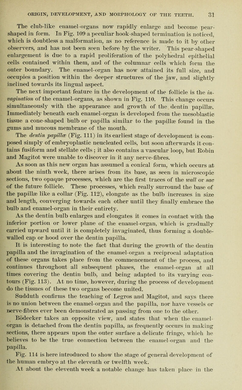 The club-like enamel-organs now rapidly enlarge and become pear- shaped in form. In Fig. 109 a peculiar hook-shaped termination is noticed, which is doubtless a malformation, as no reference is made to it by other observers, and has not been seen before by the writer. This pear-shaped enlargement is due to a rapid proliferation of the polyhedral epithelial cells contained within them, and of the columnar cells which form the outer boundary. The enamel-organ has now attained its full size, and occupies a position within the deeper structures of the jaw, and slightly inclined towards its lingual aspect. The next important feature in the development of the follicle is the m- vagination of the enamel-organs, as shown in Fig. 110. This change occurs simultaneously with the appearance and growth of the dentin papillae. Immediately beneath each enamel-organ is developed from the mesoblastic tissue a cone-shaped bulb or papilla similar to the papillae found in the gums and mucous membrane of the mouth. The dentin pa/pillcB (Fig. Ill) in its earliest stage of development is com- posed simply of embryoplastic neucleated cells, but soon afterwards it con- tains fusiform and stellate cells ; it also contains a vascular loop, but Eobin and Magitot were unable to discover in it any nerve-fibres. As soon as this new organ has assumed a conical form, which occurs at about the ninth week, there arises from its base, as seen in microscopic sections, two opaque processes, which are the first traces of the wall or sae of the future follicle. These processes, which really surround the base of the papillae like a collar (Fig. 112), elongate as the bulb increases in size and length, converging towards each other until they finally embrace the bulb and enamel-organ in their entirety. As the dentin bulb enlarges and elongates it comes in cf)ntact with the inferior portion or lower plane of the enamel-organ, which is gradually carried upward until it is completely invaginated, thus forming a double- walled cap or hood over the dentin papilla. It is interesting to note the fact that during the growth of the dentin papilla and the invagination of the enamel-organ a reciprocal adaptation of these organs takes place from the commencement of the process, and continues throughout all subsequent phases, the enamel-organ at all times covering the dentin bulb, and being adapted to its varying con- tours (Fig. 113). At no time, however, during the process of development do the tissues of these two organs become united. Sudduth confirms the teaching of Legros and Magitot, and says there is no union between the enamel-organ and the papilla, nor have vessels or nerve-fibres ever been demonstrated as passing from one to the other. Bodecker takes an opposite view, and states that when the enamel- organ is detached from the dentin papilla, as frequently occurs in making sections, there appears upon the outer surface a delicate fringe, which he believes to be the true connection between the enamel-organ and the papilla. Fig. 114 is here introduced to show the stage of general development of the human embryo at the eleventh or twelfth week. At about the eleventh week a notable change has taken place in the
