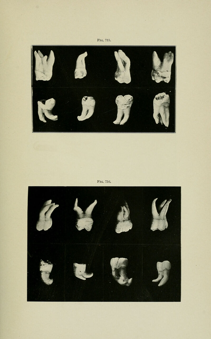 Fig. 715. Fig. 716. H^H ■■ W^M 1 Q ^Jl