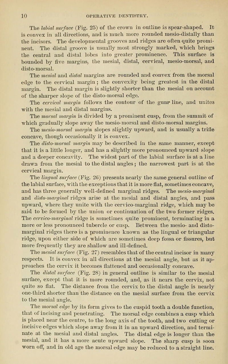 The lahial surface (Fig. 25) of tlie crown in outline is spear-shaped. It is convex in all directions, and is much more rounded mesio-distally than the incisors. The developmental grooves and ridges are often quite promi- nent. The distal groove is usually most strongly marked, which brings the central and distal lobes into greater prominence. This surface is bounded by five margins, the mesial, distal, cervical, mesio-morsal, and disto-morsal. The mesial and distal margins are rounded and convex from the morsal edge to the cervical margin; the convexity being greatest in the distal margin. The distal margin is slightly shorter than the mesial on account of the sharper slope of the disto-morsal edge. The cervical margin follows the contour of the gum* line, and unites with the mesial and distal margins. The morsal margin is divided by a prominent cusp, from the summit of which gi-adually slope away the mesio-morsal and disto-morsal margins. The mesio-morsal margin slopes slightly ui)ward, and is usually a trifle concave, though occasionally it is convex. The disto-7norsal margin may be described in the same manner, except that it is a little longer, and has a slightly more i)ronounced upward slope and a deeper concavity. The widest part of the labial surface is at a line drawn from the mesial to the distal angles; the narrowest part is at the cervical margin. The lingual surface (Fig. 26) presents nearly the same general outline of the labial surface, with the exceptions that it is more flat, sometimes concave, and has three generally well-defined marginal ridges. The mesio-marginal and disto-marginal ridges arise at the mesial and distal angles, and pass upward, where they unite with the cervico-marginal ridge, which may be said to be formed by the union or continuation of the two former ridges. The cervico-marginal ridge is sometimes quite prominent, terminating in a more or less pronounced tubercle or cusj). Between the mesio- and disto- marginal ridges there is a prominence known as the lingual or triangular ridge, upon either side of which are sometimes deep fossa or fissures, but more frequently they are shallow and ill-defined. The mesial surface (Fig. 27) resembles that of the central incisor in many respects. It is convex in all directions at the mesial angle, but as it ap- proaches the cervix it becomes flattened and occasionally concave. The distal surface (Fig. 28) in general outline is similar to the mesial surface, except that it is more rounded, and, as it nears the cervix, not quite so flat. The distance from the cervix to the distal angle is nearly one-third shorter than the distance on the mesial surface from the cervix to the mesial angle. The morsal edge by its form gives to the cuspid tooth a double function, that of incising and penetrating. The morsal edge combines a cusp which is placed near the centre, to the long axis of the tooth, and two cutting or incisive edges which slope away from it in an upward direction, and termi- nate at the mesial and distal angles. The distal edge is longer than the mesial, and it has a more acute upward slope. The sharp cusp is soon worn off, and in old age the morsal edge may be reduced to a straight line.