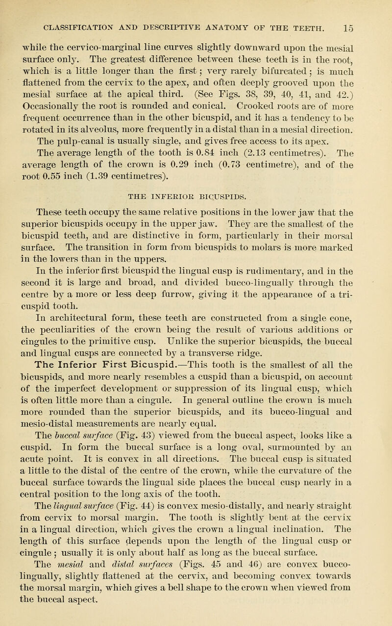 while the cervico-marginal line curves slightly downward upon the mesial surface only. The greatest difference between these teeth is in the root, which is a little longer than the first; very rarely bifurcated; is much flattened from the cervix to the apex, and often deeply grooved upon the mesial surface at the apical third, (See Figs. 38, 39, 40, 41, and 42.) Occasionally the root is rounded and conical. Crooked roots are of more frequent occurrence than in the other bicuspid, and it has a tendency to be rotated in its alveolus, more frequently in a distal than in a mesial direction. The pulp-canal is usually single, and gives free access to its apex. The average length of the tooth is 0.84 inch (2.13 centimetres). The average length of the crown is 0.29 inch (0.73 centimetre), and of the root 0.55 inch (1.39 centimetres). THE INFEEIOE BICUSPIDS. These teeth occupy the same relative positions in the lower jaw that the superior bicuspids occupy in the upper jaw. They are the smallest of the bicuspid teeth, and are distinctive in form, particularly in their morsal surface. The transition in form from bicuspids to molars is more marked in the lowers than in the uppers. In the inferior first bicuspid the lingual cusp is rudimentary, and in the second it is large and broad, and divided bucco-lingually through the centre by a more or less deep furrow, giving it the appearance of a tri- cuspid tooth. In architectural form, these teeth are constructed from a single cone, the peculiarities of the crown being the result of various additions or cingules to the primitive cusp. Unlike the superior bicuspids, the buccal and lingual cusps are connected by a transverse ridge. The Inferior First Bicuspid.—This tooth is the smallest of all the bicuspids, and more nearly resembles a cuspid than a bicuspid, on account of the imperfect development or suppression of its lingual cusp, which is often little more than a cingule. In general outline the crown is much more rounded than the superior bicuspids, and its bucco-lingual and mesio-distal measurements are nearly equal. The buccal surface (Fig. 43) viewed from the buccal aspect, looks like a cuspid. In form the buccal surface is a long oval, surmounted by an acute point. It is convex in all directions. The buccal cusp is situated a little to the distal of the centre of the crown, while the curvature of the buccal surface towards the lingual side places the buccal cusp nearly in a central position to the long axis of the tooth. The lingual surface (Fig. 44) is convex mesio-distally, and nearly straight from cervix to morsal margin. The tooth is slightly bent at the cervix in a lingual direction, which gives the crown a lingual inclination. The length of this surface depends upon the length of the lingual cusp or cingule ; usually it is only about half as long as the buccal surface. The mesial and distal surfaces (Figs. 45 and 46) are convex bucco- lingually, slightly flattened at the cervix, and becoming convex towards the morsal margin, which gives a bell shape to the crown when viewed from the buccal aspect.